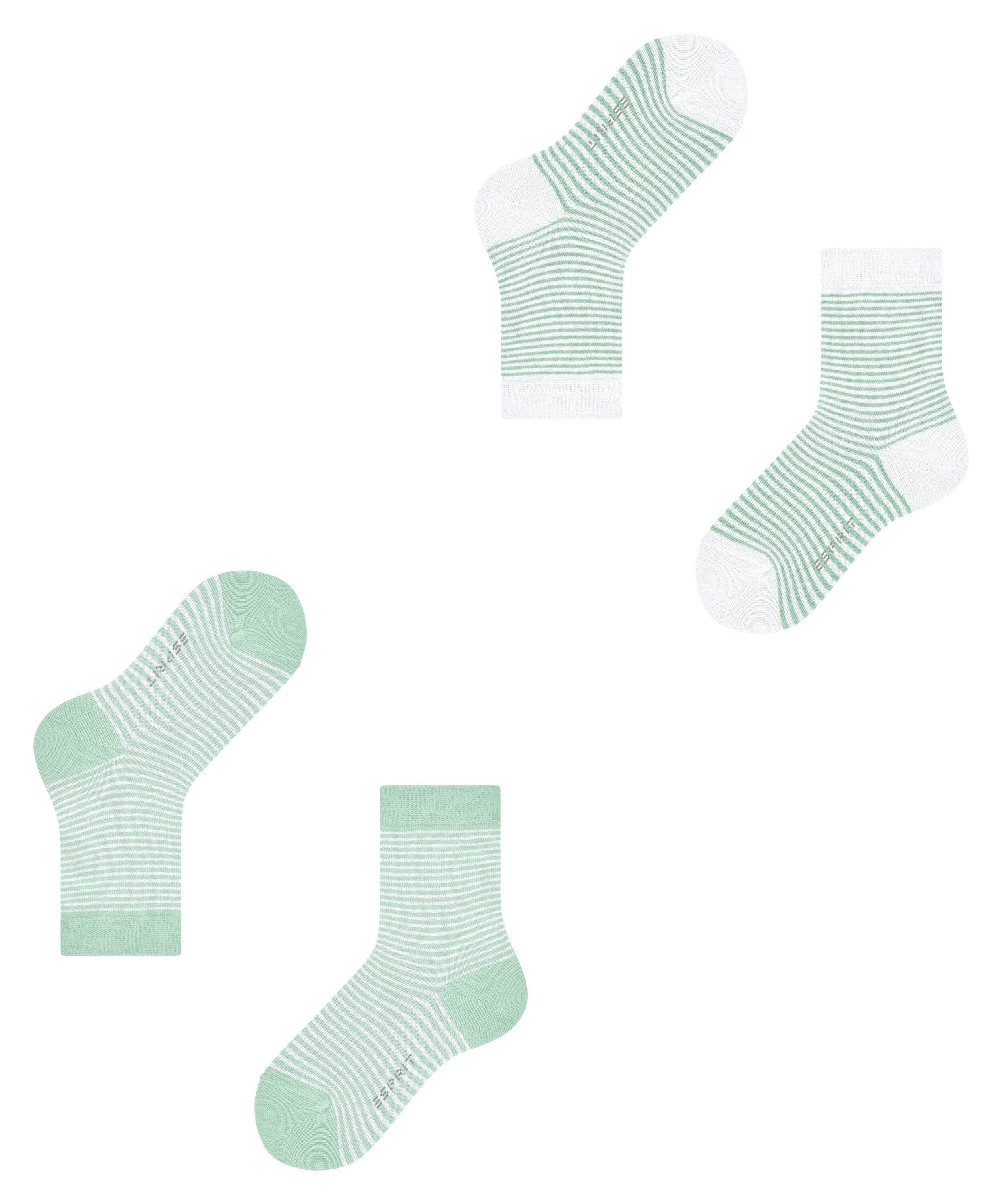 2-Pack sortiment Esprit (0070) (2-Paar) Fine Stripe Socken