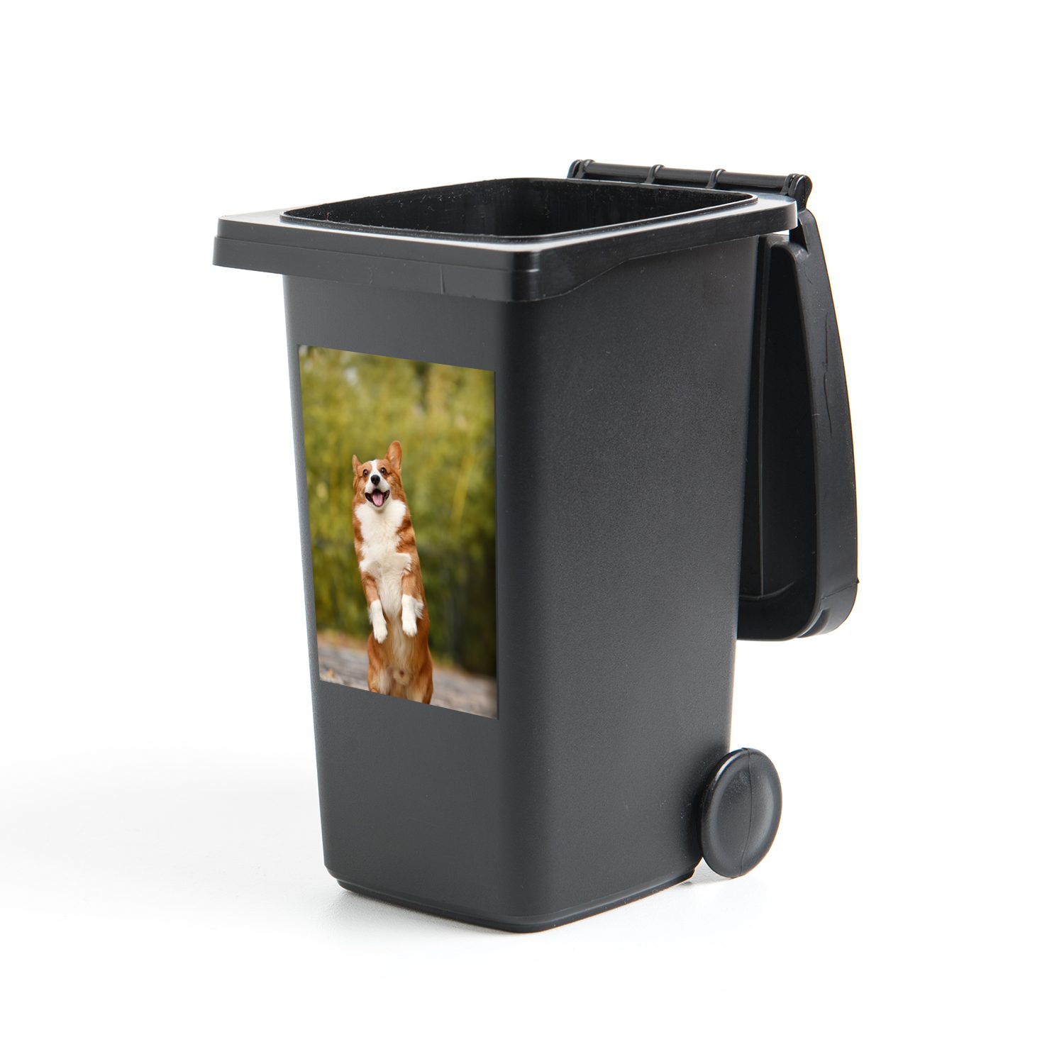 MuchoWow Wandsticker Hund - Corgi - Steine (1 St), Mülleimer-aufkleber, Mülltonne, Sticker, Container, Abfalbehälter