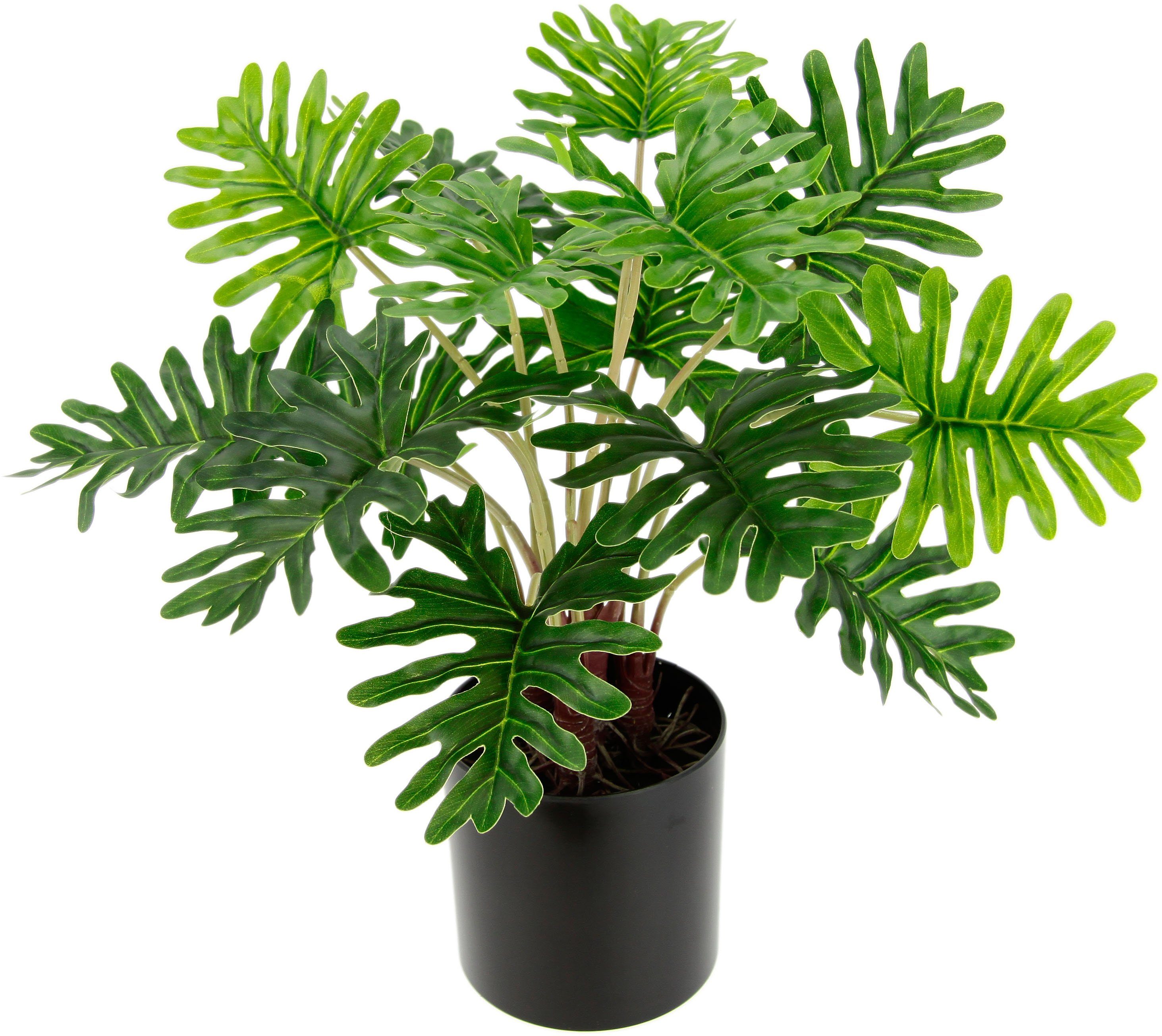 Künstliche Zimmerpflanze Philo, I.GE.A., Höhe 38 cm günstig online kaufen