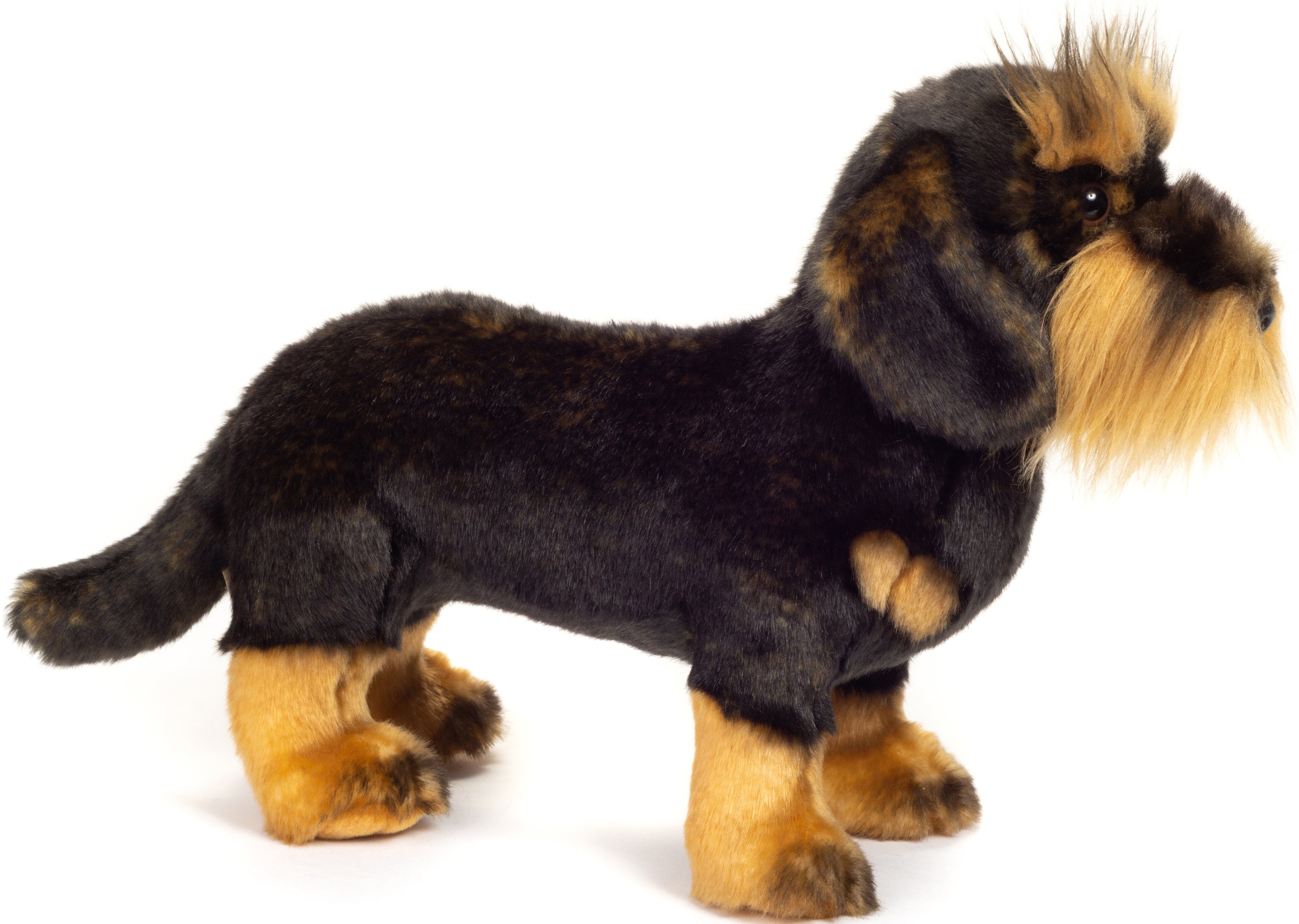 Teddy Hermann® Kuscheltier Plüschtier Rauhaardackel – günstig online kaufen
