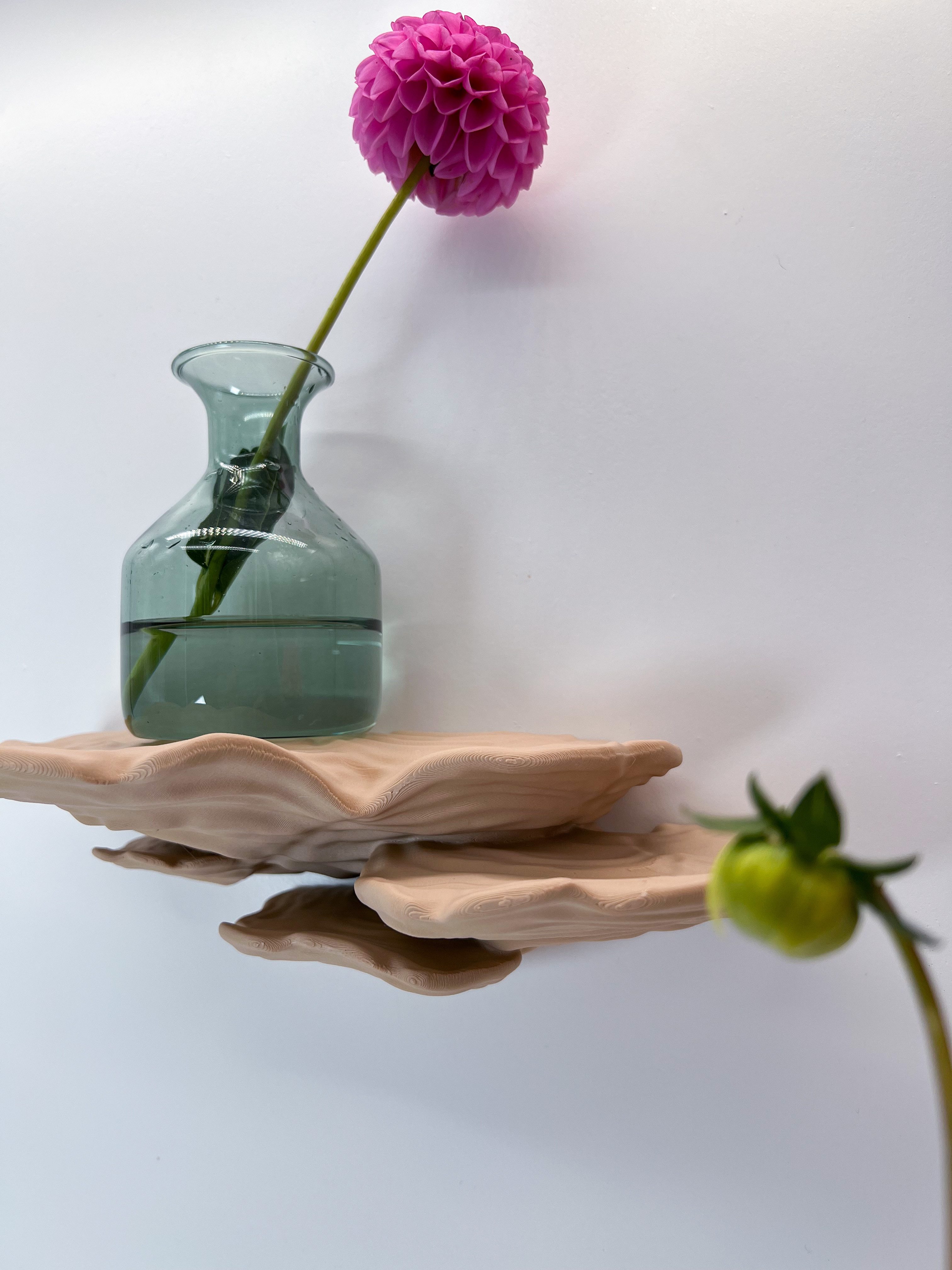 Roomberry Deko-Wandregal Schwebendes Schichtpilz Wandregal – Das perfekte D günstig online kaufen