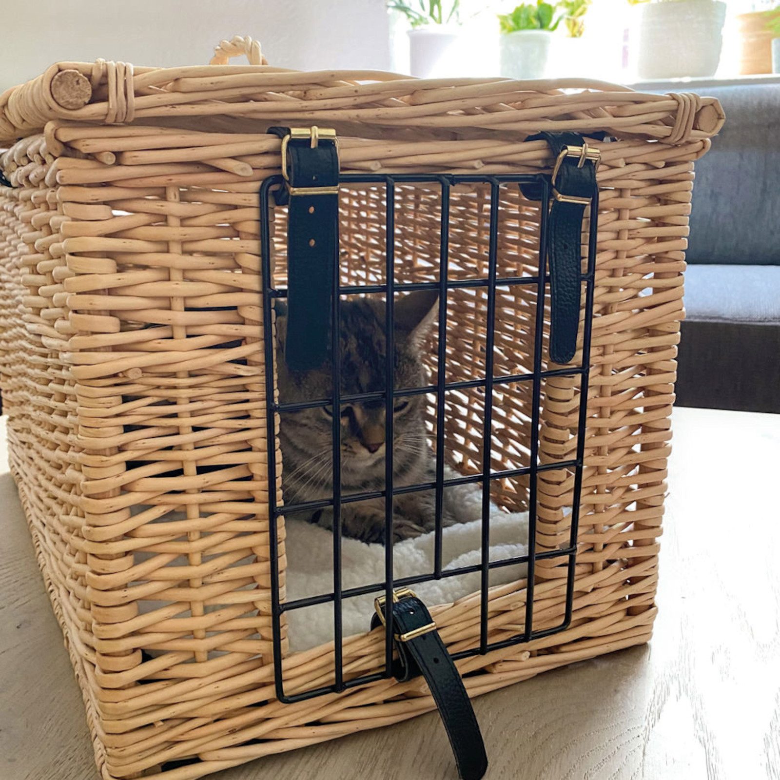 Aumüller Tierreisekorb Katzentransportkorb aus gesottener Weide, rechteckig
