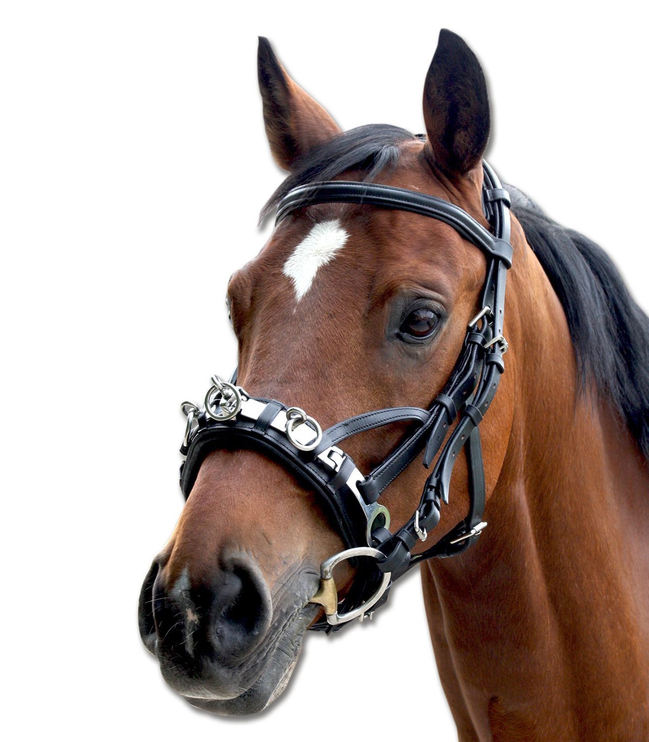 Waldhausen Trensenzaum Waldhausen Kappzaum aus Leder