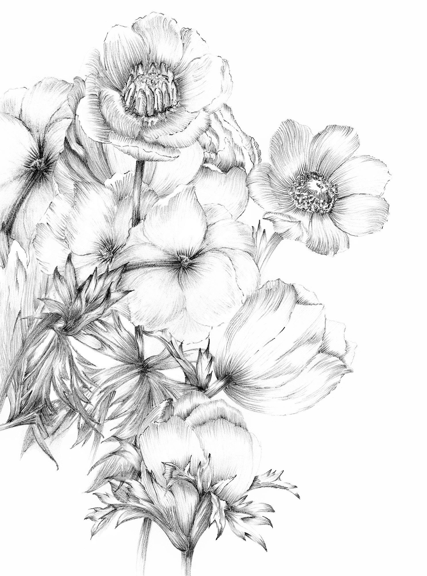 Komar Vliestapete Vlies - Embroidery - Größe 184 x 248 cm, glatt, bedruckt, Wohnzimmer, Schlafzimmer. Reduzierter Preis € 69,99. Unverbindliche Preisempfehlung € 81,37, (€ 69,99 pro 1 Stk)