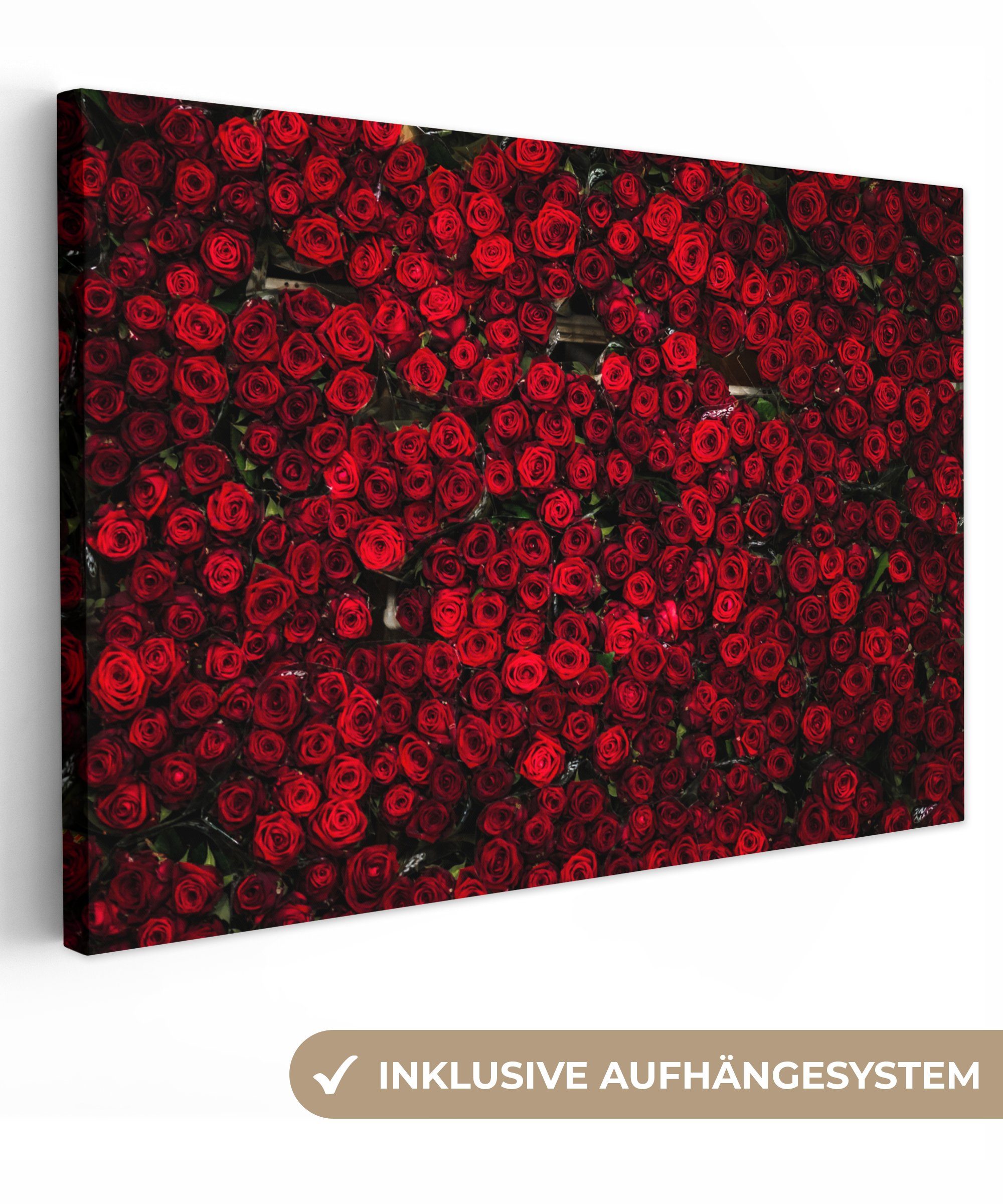 OneMillionCanvasses® Leinwandbild Blumen - Rosen - Rot, (1 St), Wandbild für alle Wohnbereiche, Gemälde, XXL, großes, 120x80 cm
