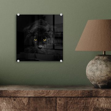 MuchoWow Acrylglasbild Panther - Tiere - Schwarz - Augen, (1 St), Glasbilder - Bilder auf Glas Wandbild - Foto auf Glas - Wanddekoration