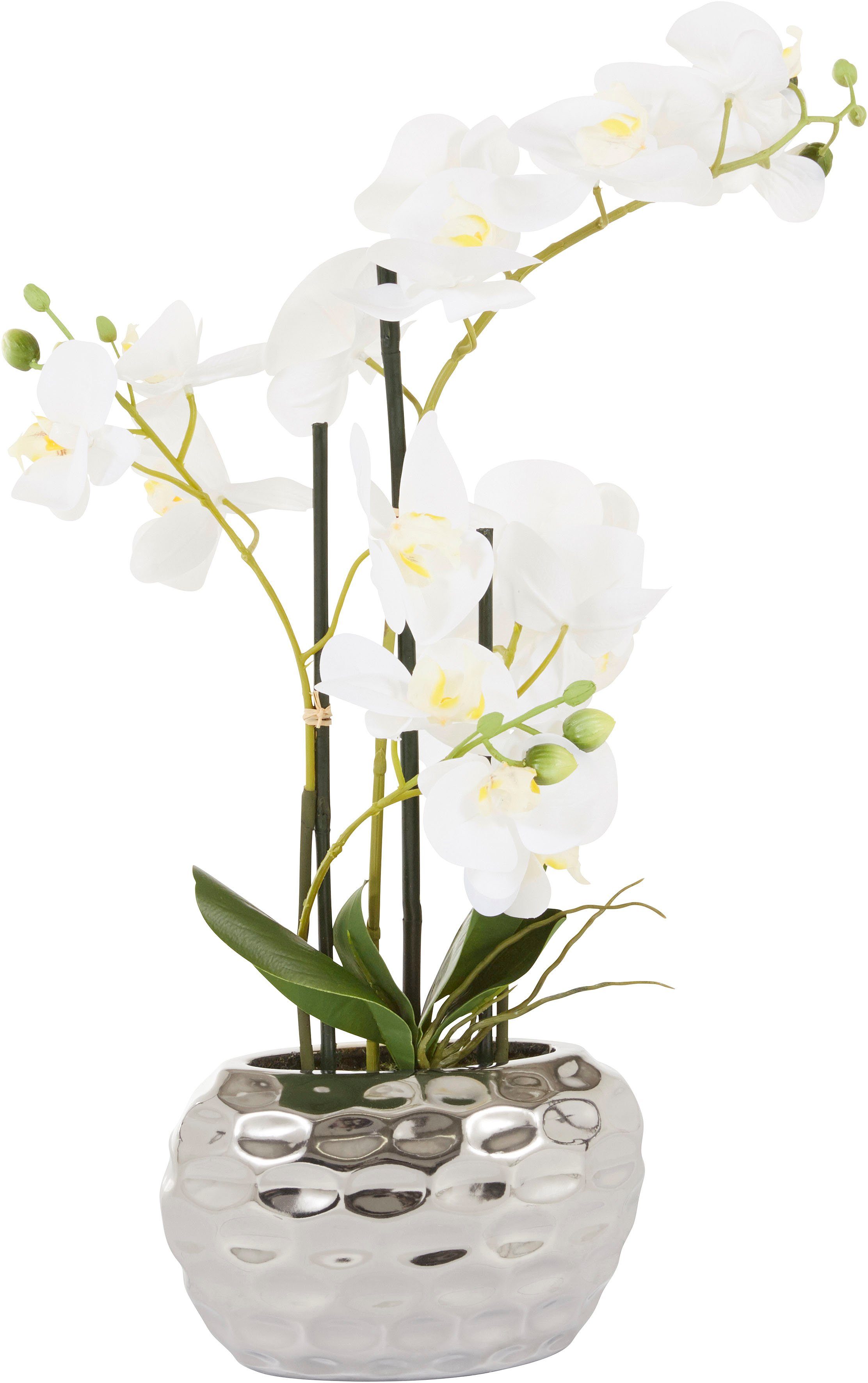 Kunstpflanze Orchidee Orchidee, Leonique, Höhe 55 günstig online kaufen