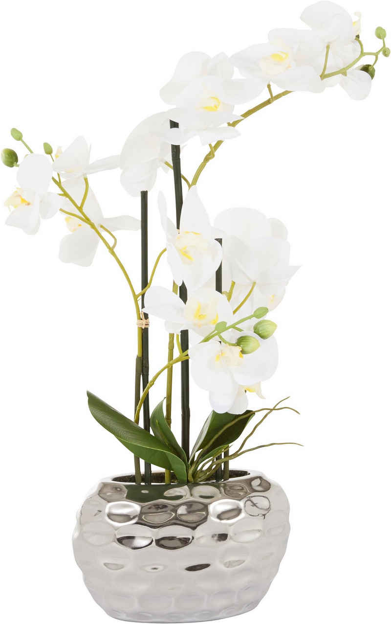 Kunstpflanze Orchidee Orchidee, Leonique, Höhe 55 cm, Kunstorchidee, im Topf