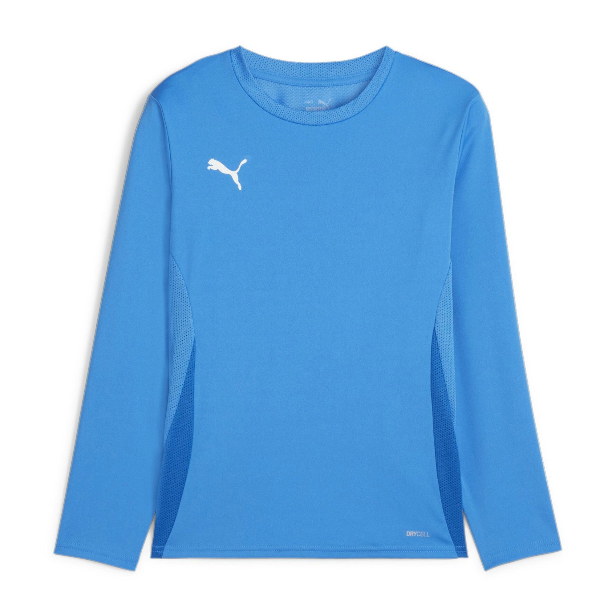 Langarmshirt Puma Kinder Langarm Shirt teamGOAL LS Jersey Jr 705751