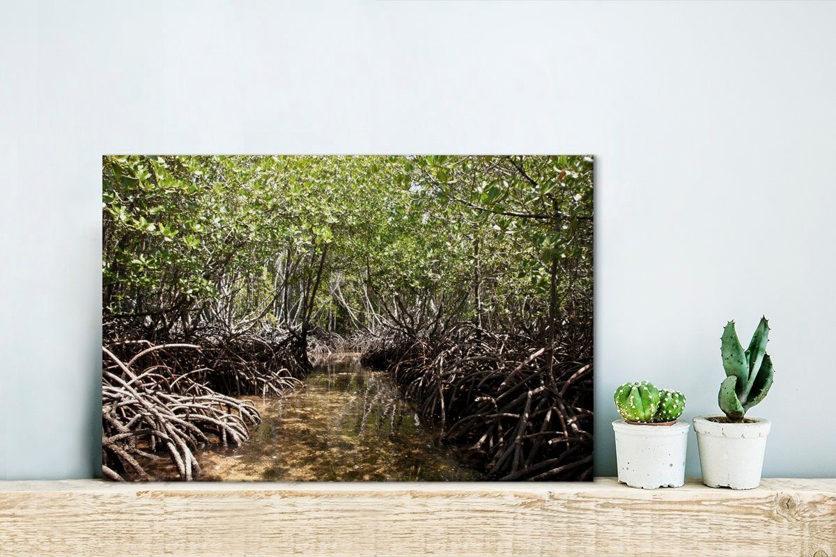 OneMillionCanvasses® Leinwandbild dem Wanddeko, Baumwurzeln Baches im Wandbild Wasser über cm Leinwandbilder, St), eines (1 Mangroves 30x20 National Park, Aufhängefertig