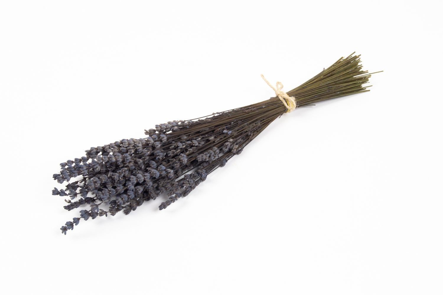 Trockenblume Getrockneter Lavendel StrauÖße AMAYANTE, lila, 35cm, Ã10cm, INNA-Glas, Höhe 35.0 cm