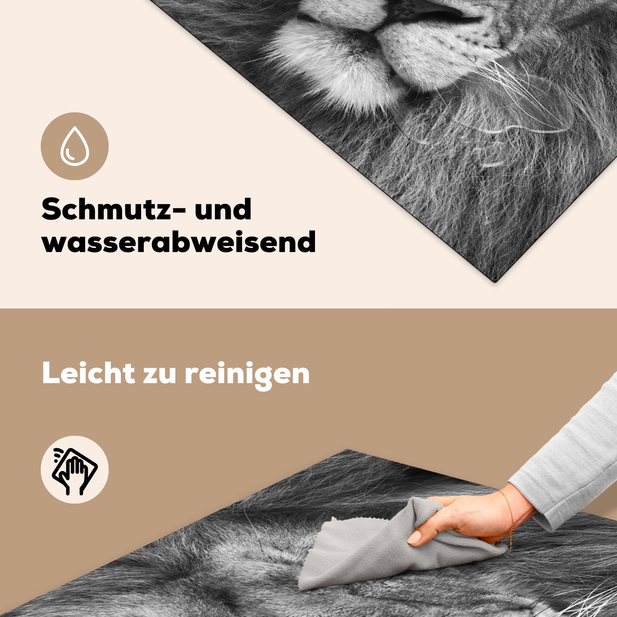 Persischer für weiß, Herdblende-/Abdeckplatte Arbeitsplatte Tierprofil in tlg), Ceranfeldabdeckung, Löwe küche Vinyl, 78x78 (1 schwarz und MuchoWow cm,