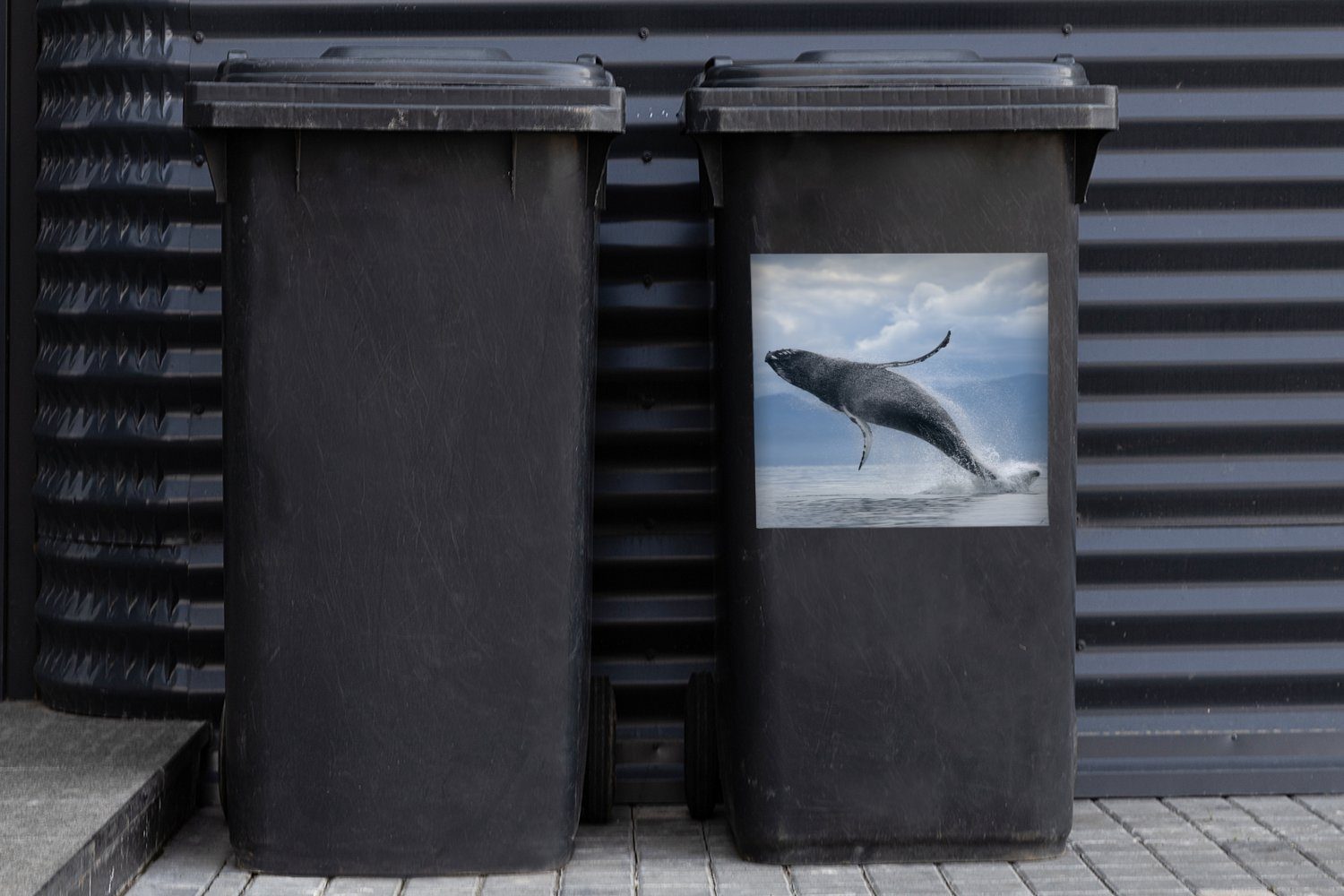 der Sticker, aus Mülleimer-aufkleber, Wasser dem St), (1 MuchoWow Wal, Wandsticker springt Mülltonne, Abfalbehälter Container,