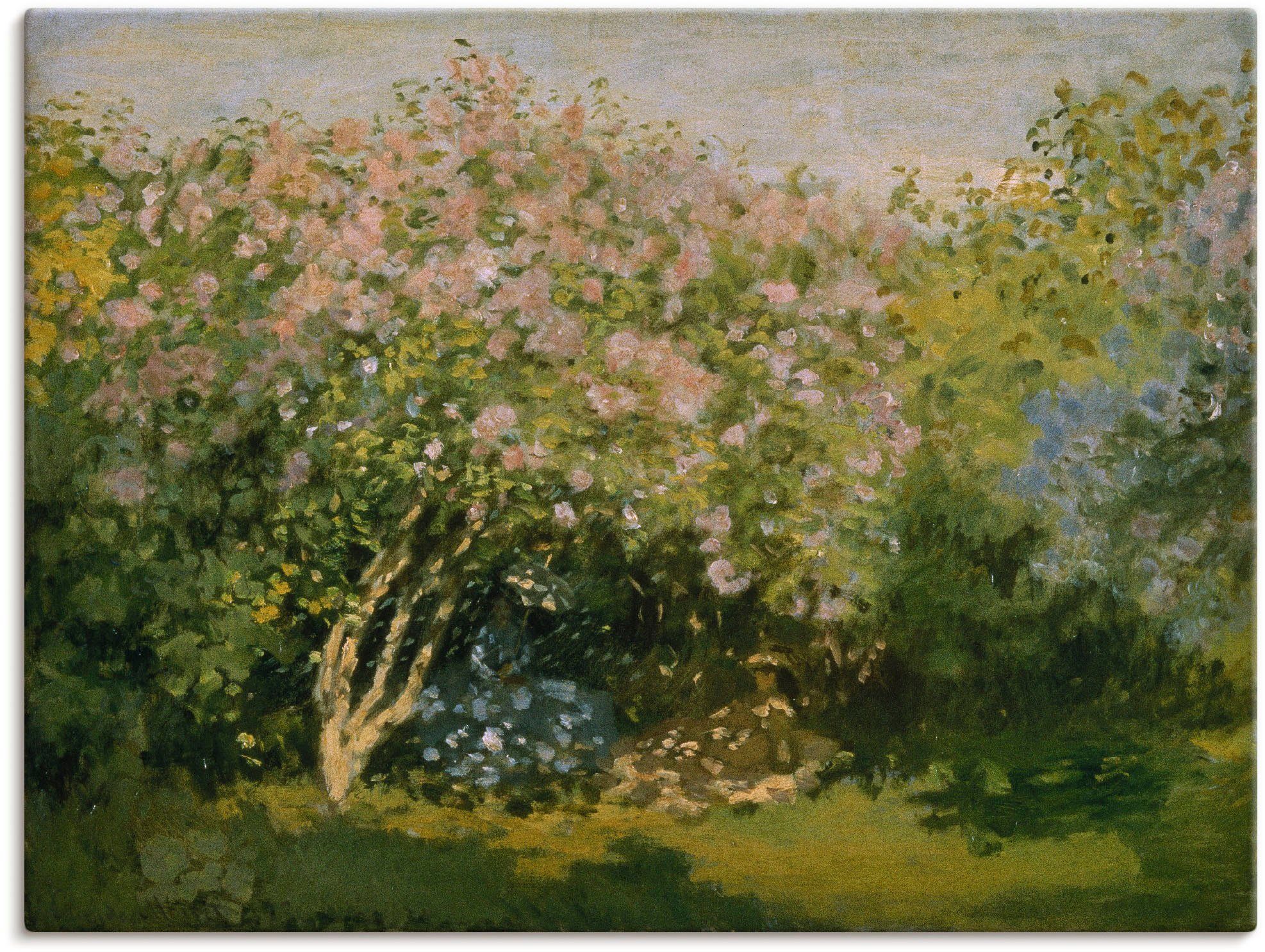 Artland Wandbild Blühender oder Größen Sonne. (1 in Poster der Blumen St), Flieder in Leinwandbild, Alubild, als 1873, Wandaufkleber versch