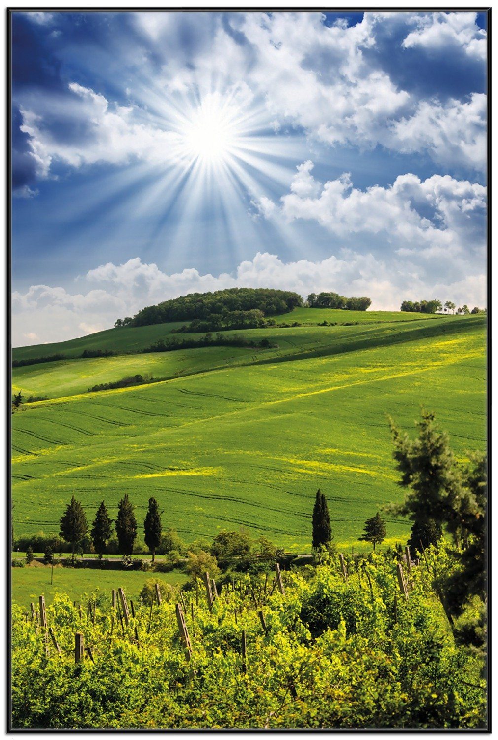 Wallario Poster, Strahlender Sonnenschein, in verschiedenen günstig online kaufen