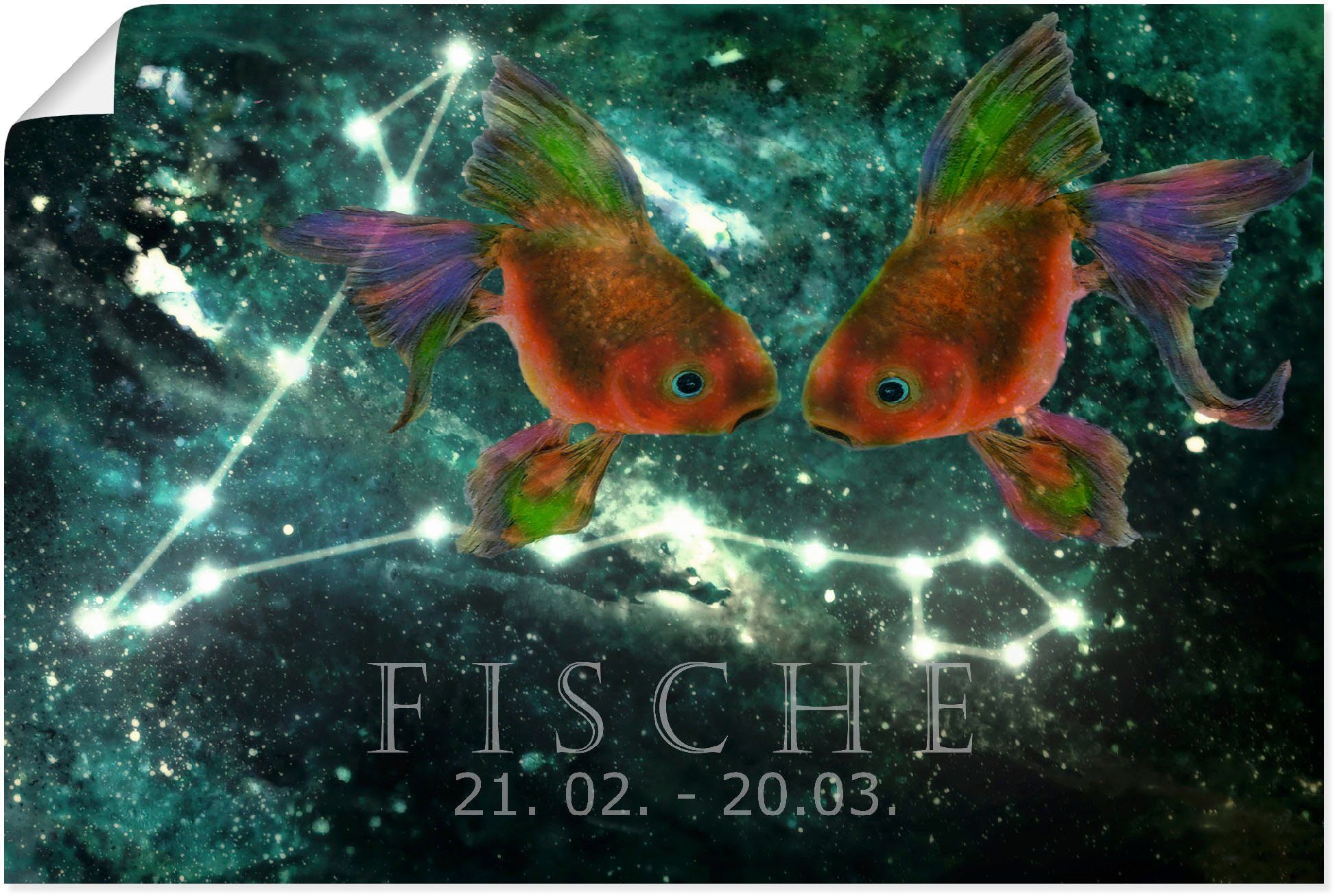 Artland Wandbild Sternzeichen - Fische, als Leinwandbild, (1 in Sternzeichen Größen Alubild, von versch. Bilder St), Poster Wandaufkleber oder