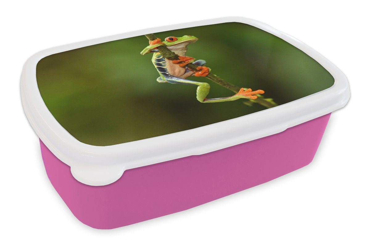 MuchoWow Lunchbox Frosch - Regenwald - Zweig, Kunststoff, (2-tlg), Brotbox für Erwachsene, Brotdose Kinder, Snackbox, Mädchen, Kunststoff rosa