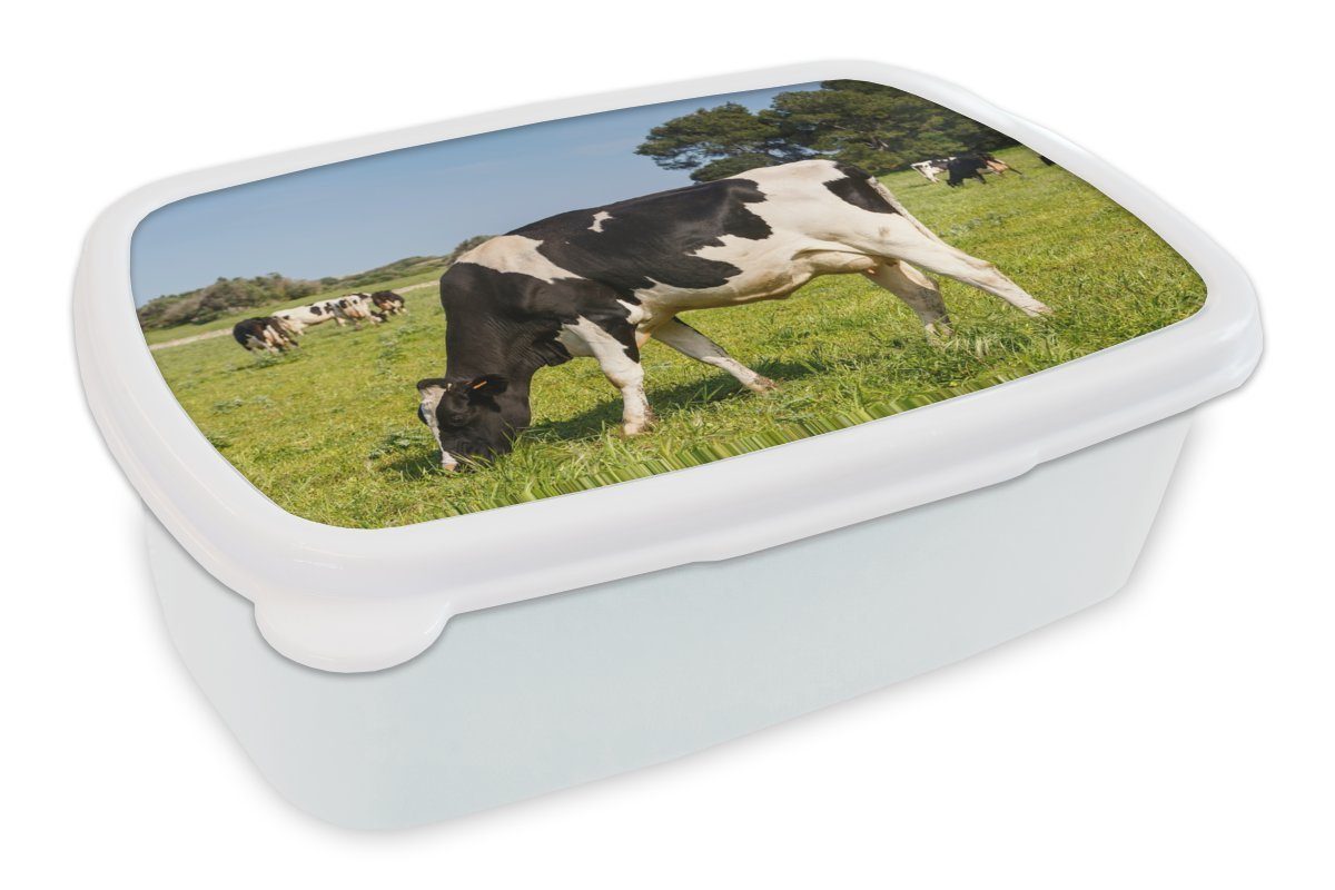 MuchoWow Lunchbox Kuh - Gras - Tiere - Wald, Kunststoff, (2-tlg), Brotbox für Kinder und Erwachsene, Brotdose, für Jungs und Mädchen weiß