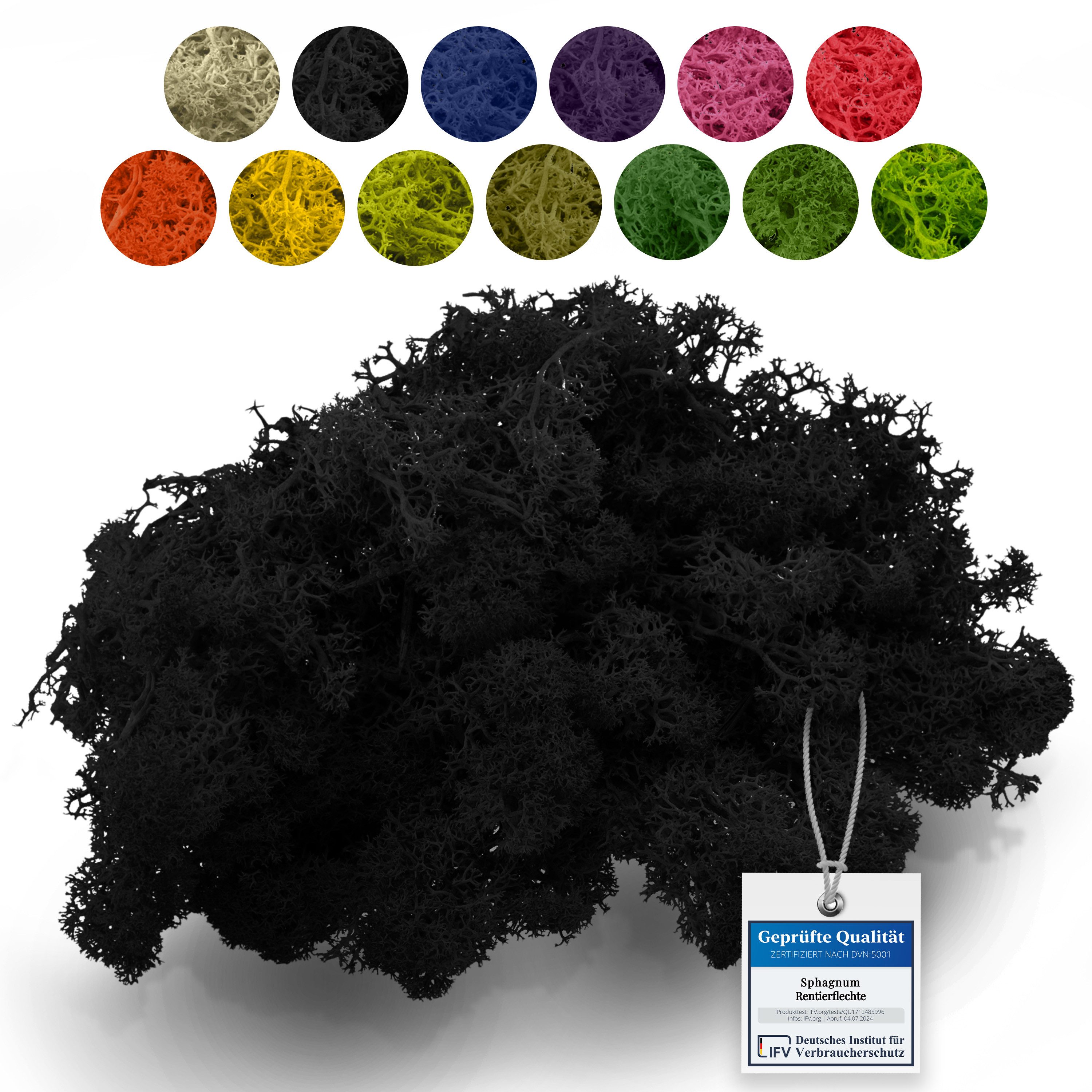 Bastelnaturmaterial Islandmoos Rentierflechte 500g, Echtes Moos zum Basteln & Dekorieren
