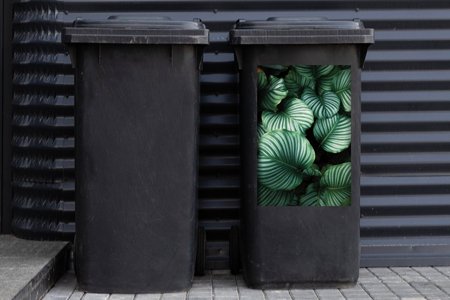 Abfalbehälter Mülltonne, Sticker, Porträt - MuchoWow St), Mülleimer-aufkleber, Blätter - (1 Container, Wandsticker Pflanzen