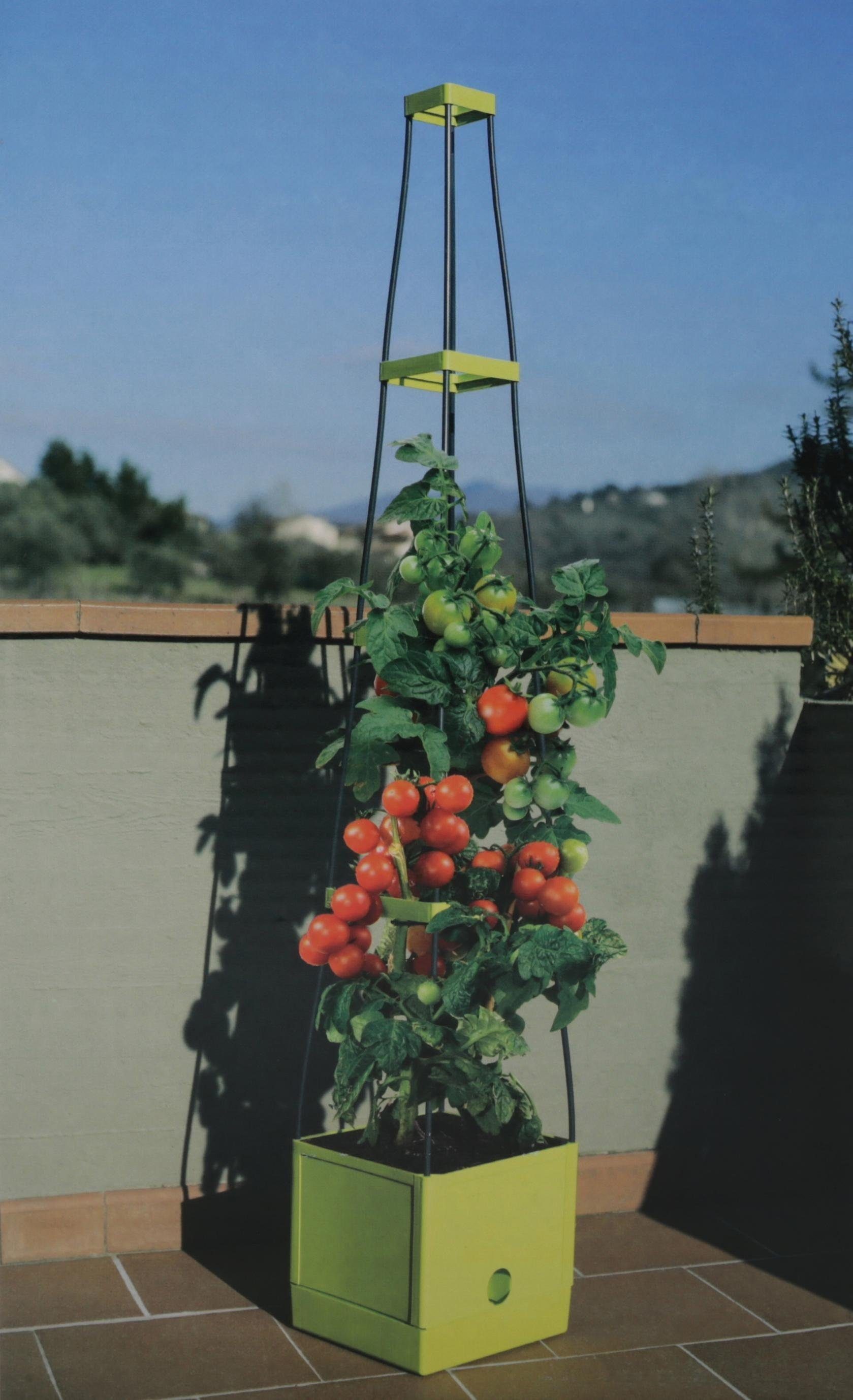 Think Garden Pflanzkübel Tower Tomaten