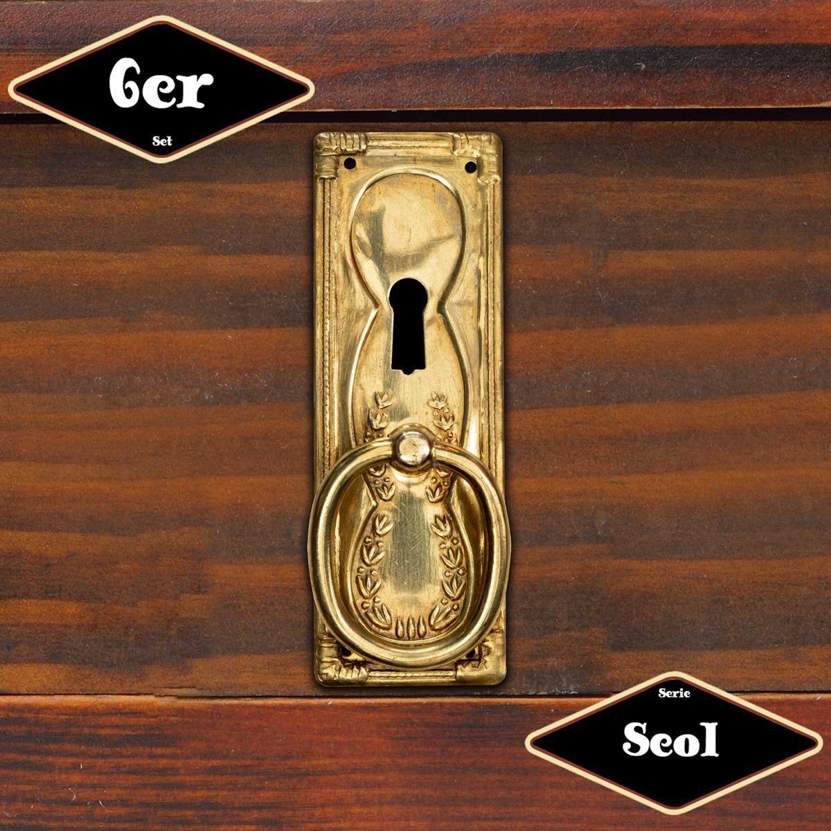 Möbelbeschlag Schubladengriff,Serie "Seol",6er Pack, Eisen in Messing gl.