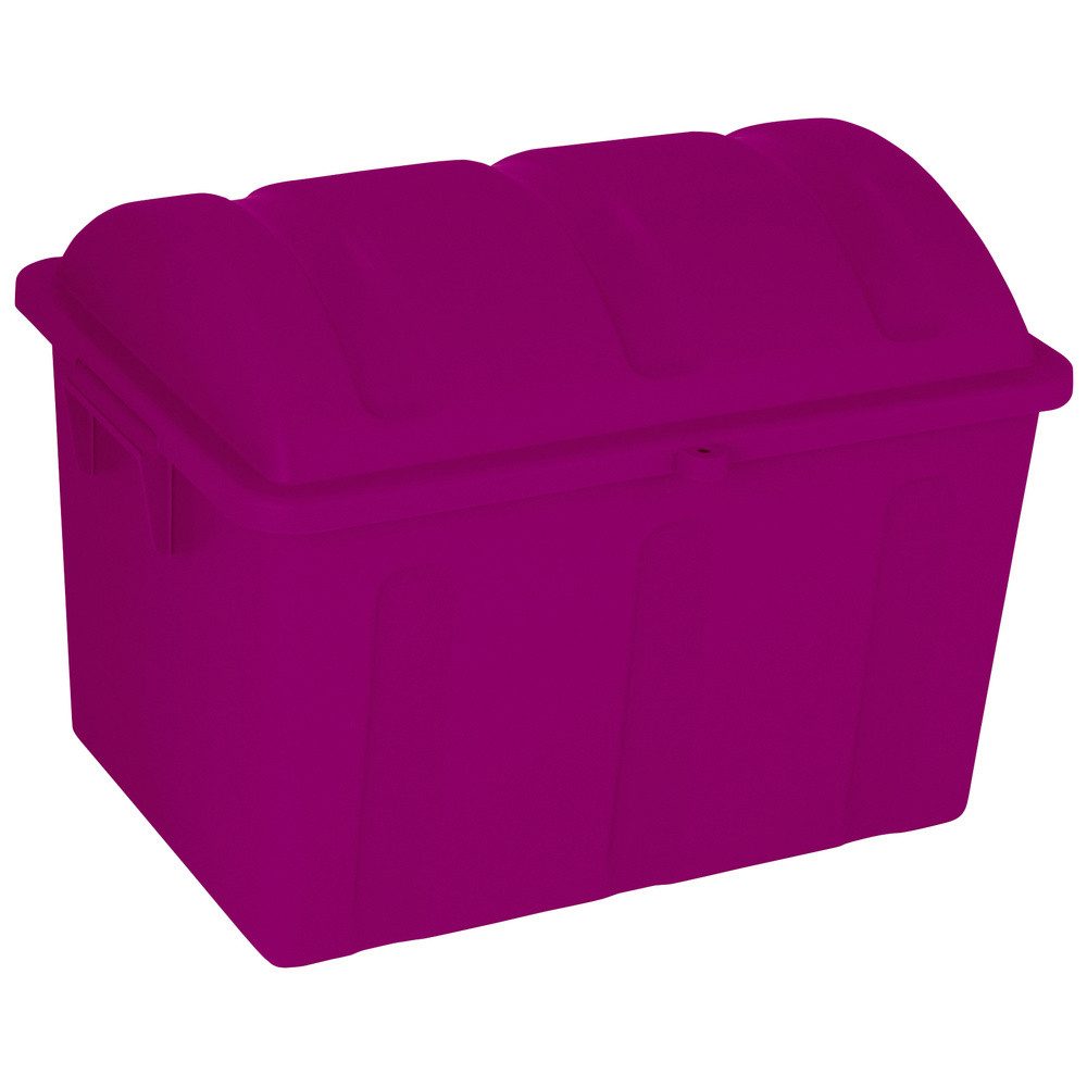 Curver Aufbewahrungsbox Curver 259604 Aufbewahrungsbox Piraten 75 Jahre-Edi günstig online kaufen