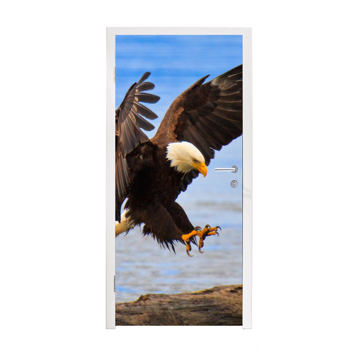 MuchoWow Türtapete Vogel - Seeadler - Strand, Matt, bedruckt, (1 St), Fototapete für Tür, Türaufkleber, 75x205 cm