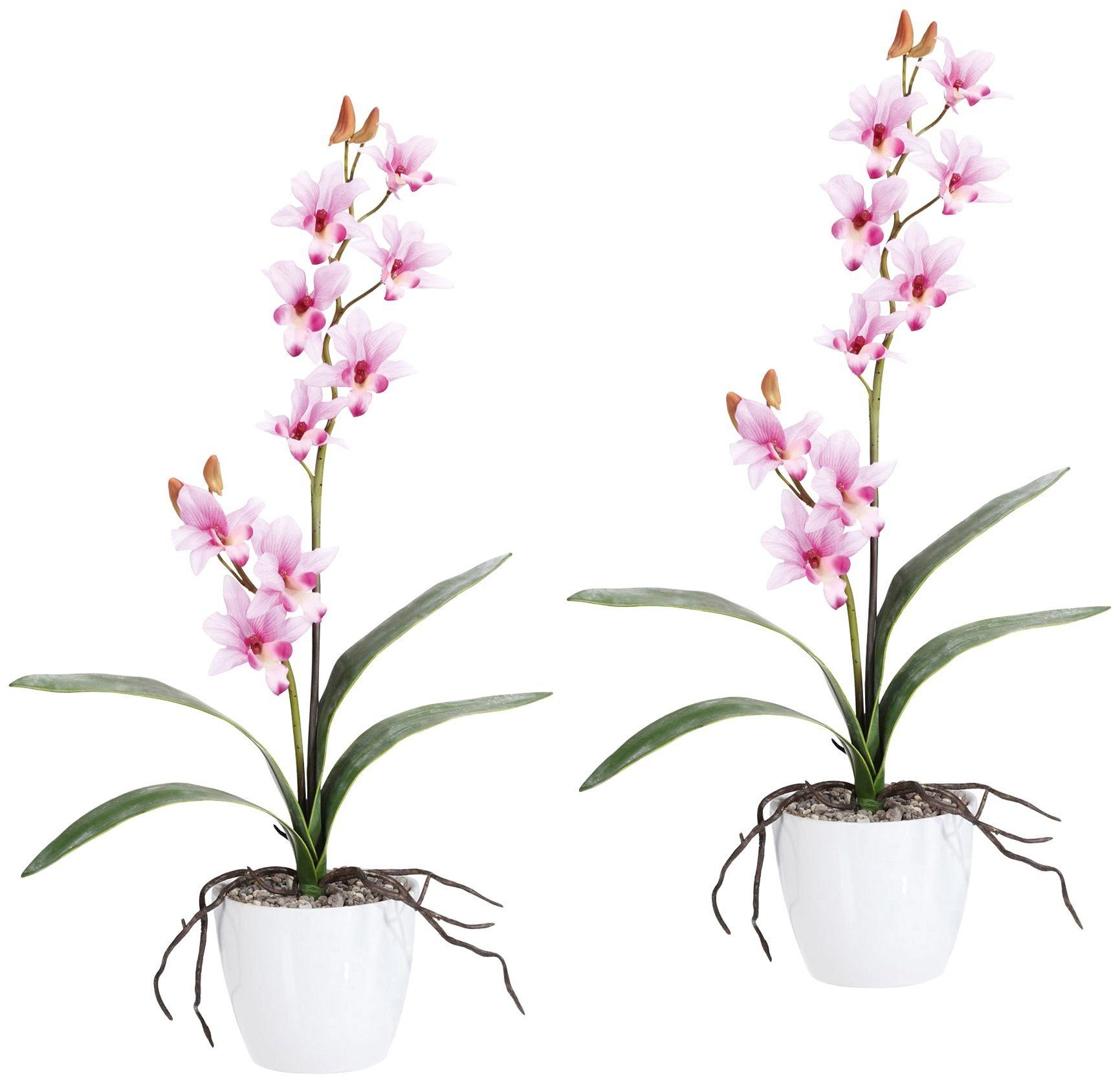 Kunstpflanze »Orchidee Dendrobie« Orchidee, Creativ green, Höhe 60 cm, im Keramiktopf-Otto