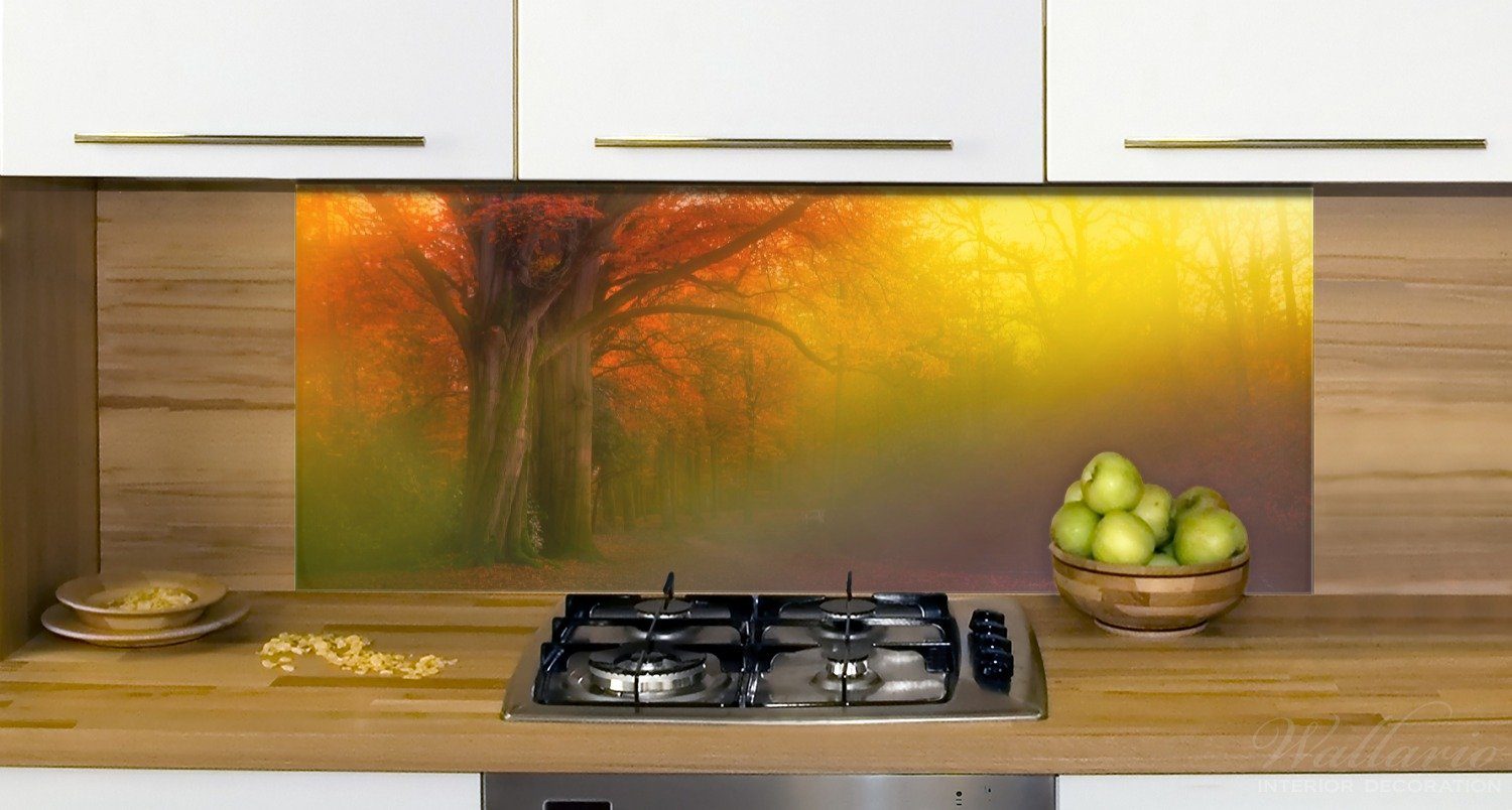 bei Küchenrückwand Bunter in Nebel Waldlandschaft Wallario Herbst (1-tlg) Regenbogenfarben, -
