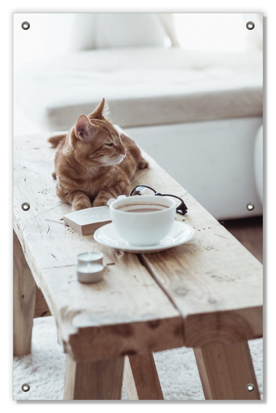 Sonnenschutz Süße rot getigerte Katze beim Kaffee, Wallario, blickdicht, mit Saugnäpfen, wiederablösbar und wiederverwendbar