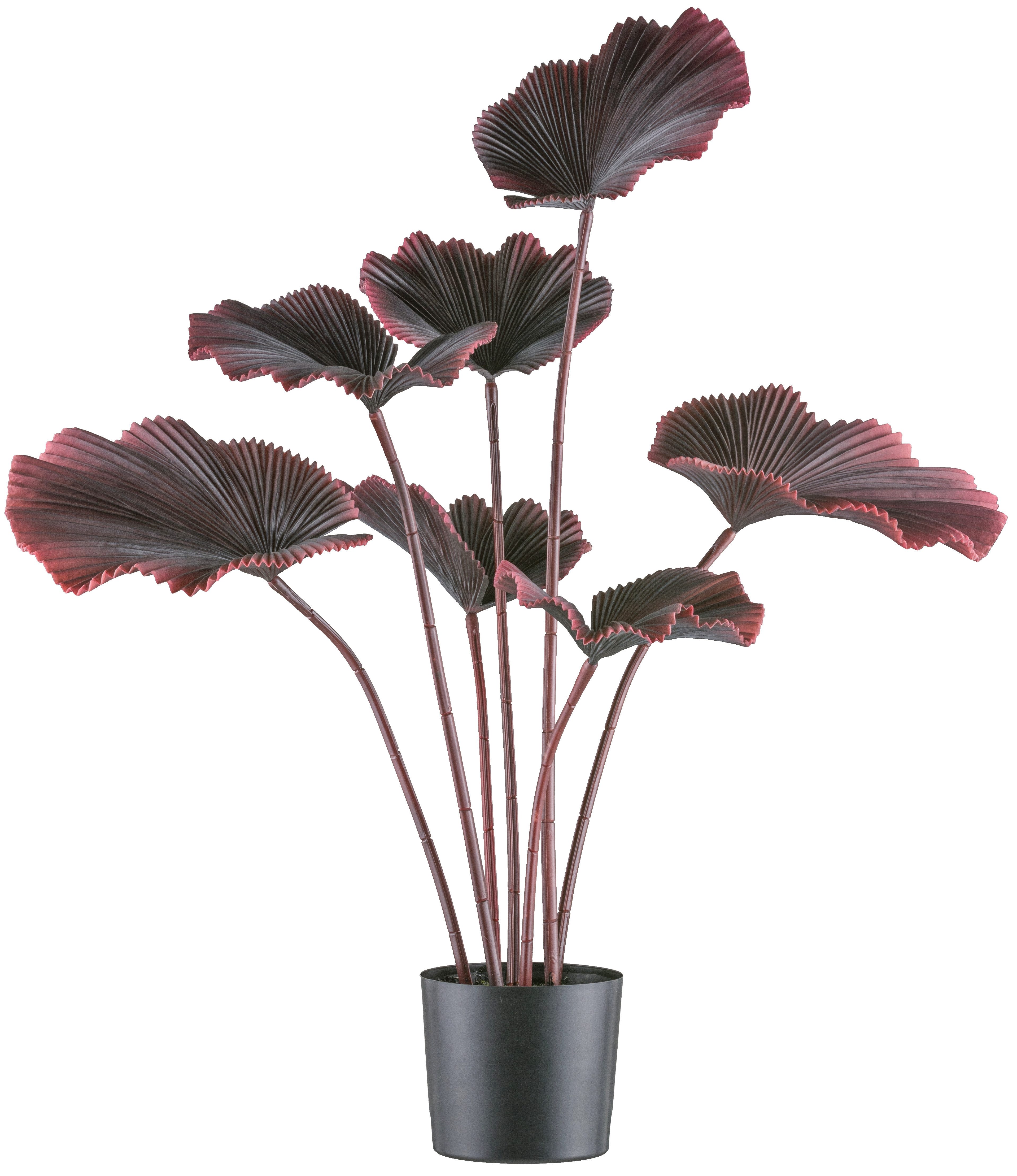 Kunstpflanze Strahlenpalme 100 cm gross im schwarzen Kunststofftopf 19,5 x 17,5 cm, Creativ green