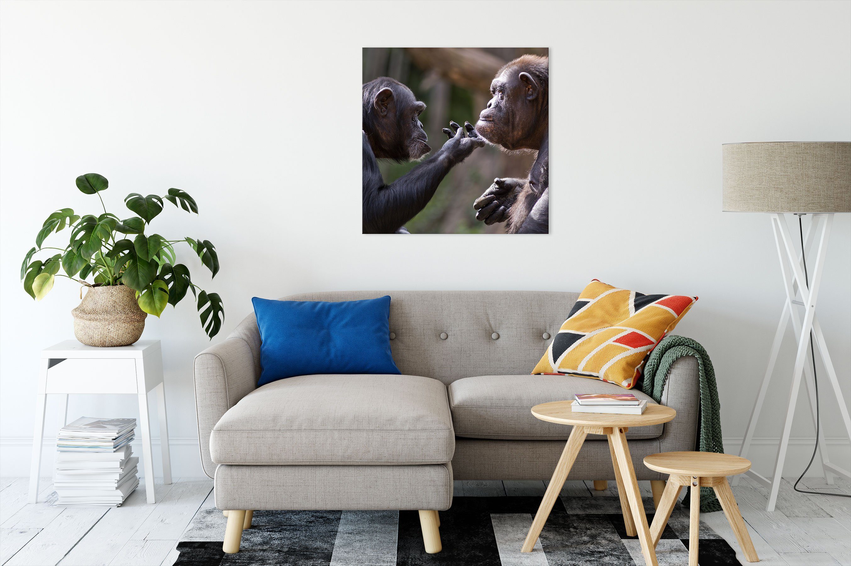 Pixxprint Leinwandbild Freundschaft inkl. St), fertig Schimpansen (1 Zackenaufhänger Schimpansen Freundschaft, bespannt, Leinwandbild