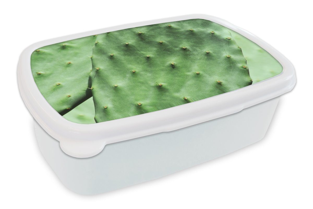 Mädchen und und Lunchbox für grün, Brotdose, Blatt MuchoWow Kaktus Brotbox weiß Erwachsene, Jungs (2-tlg), Minze Barbary für Kunststoff, Kinder