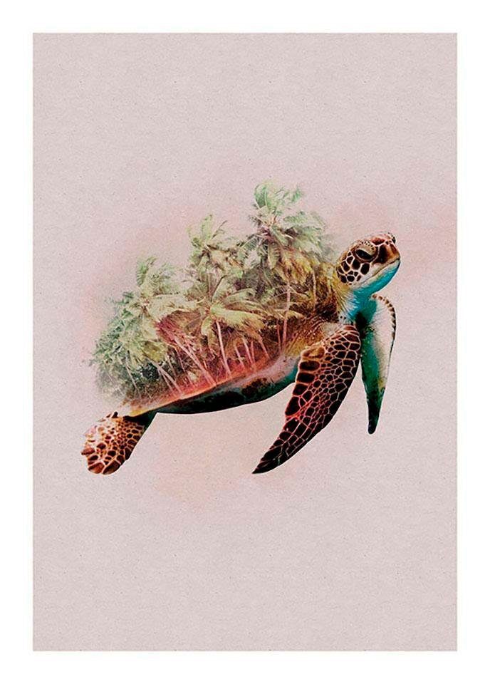 St), (1 Kinderzimmer, Poster Schlafzimmer, Animals Tiere Paradise Wohnzimmer Komar Turtle,