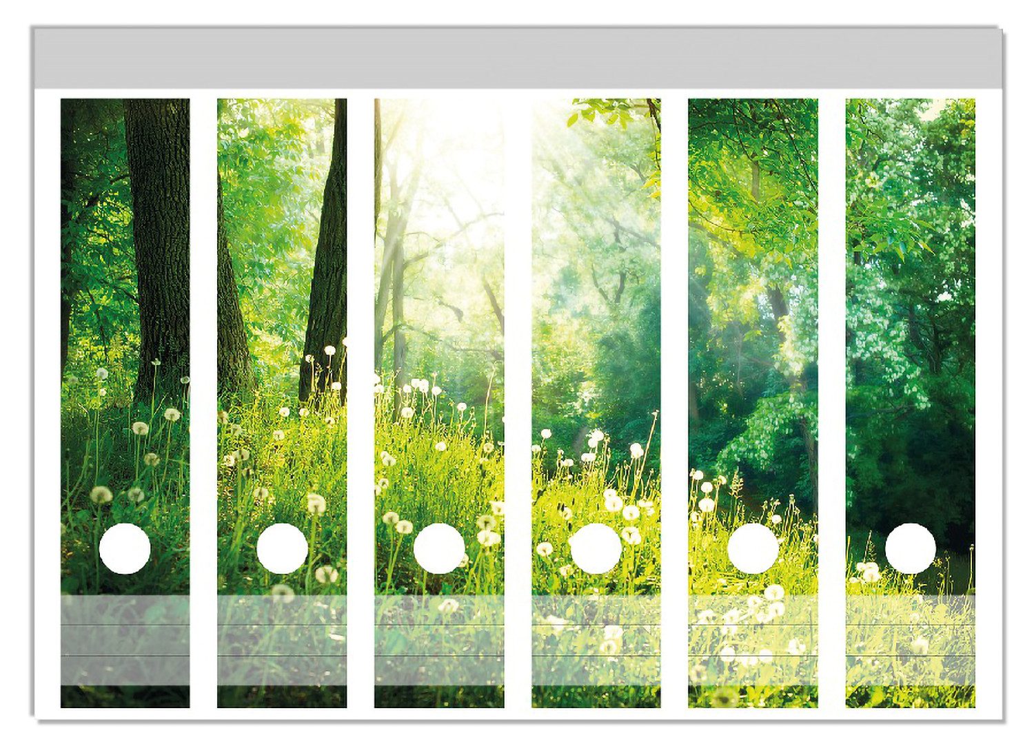 Wallario Etiketten Pusteblumen im Wald mit einfallenden Sonnenstrahlen, Ordnerrücken-Sticker in verschiedenen Ausführungen
