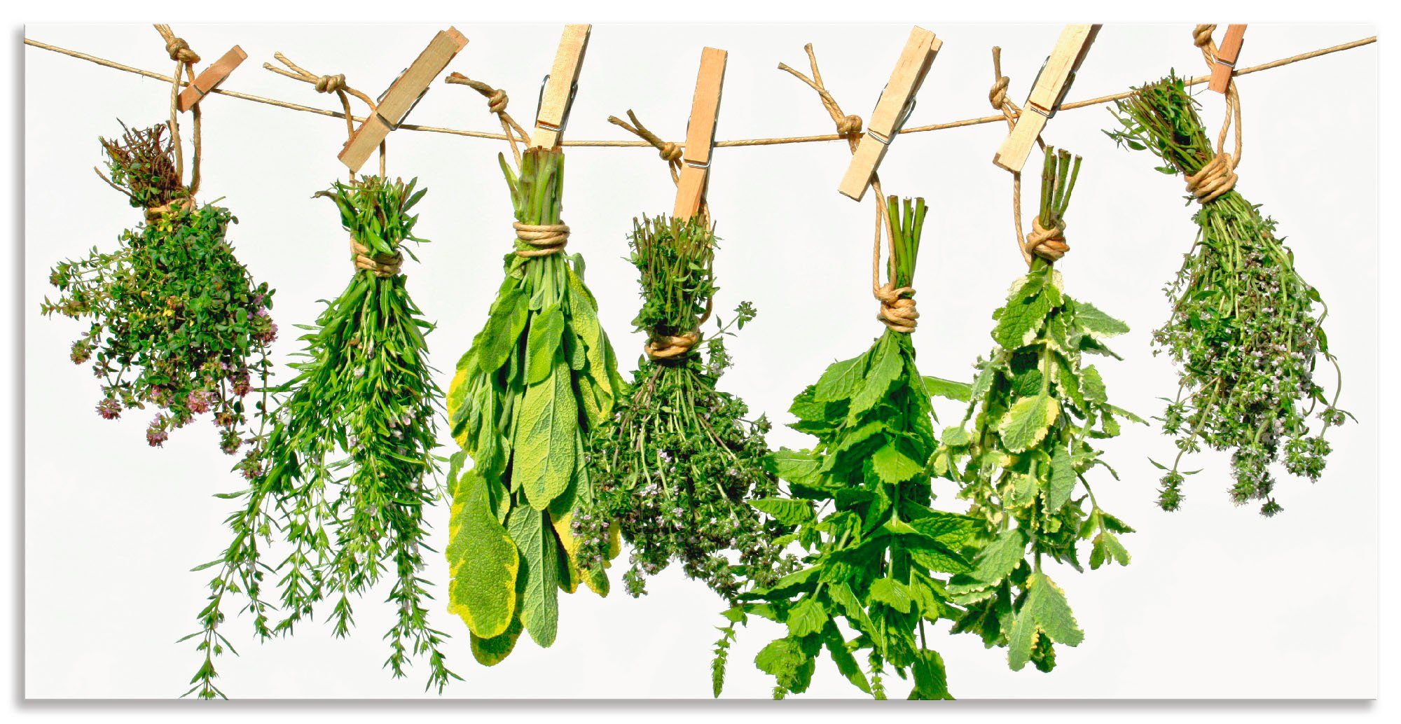 Artland Wandbild Kräuter, Pflanzen (1 St), als Alubild, Leinwandbild in verschied. Größen