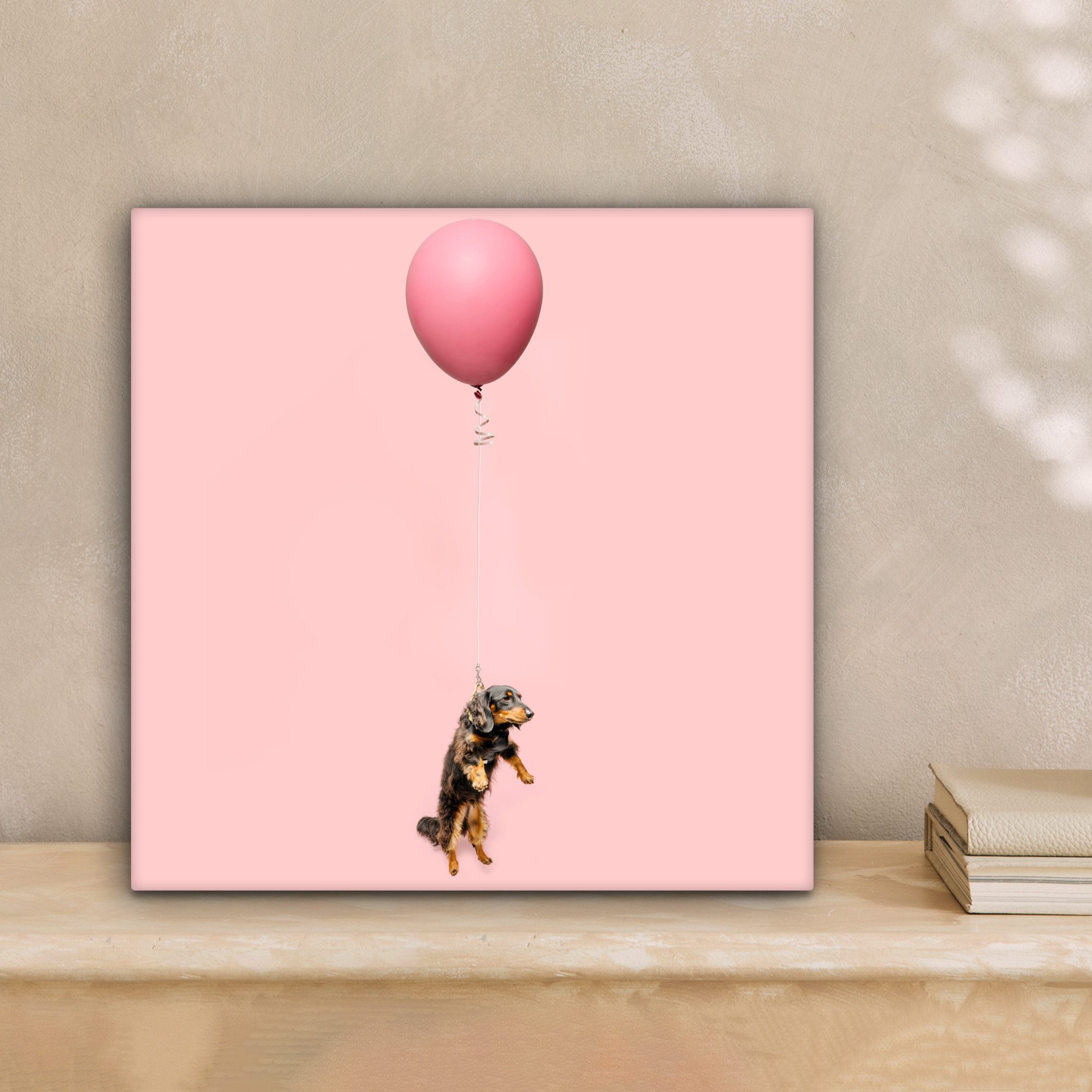 OneMillionCanvasses® Leinwandbild Dackel schwebt durch einen Ballon nach ob günstig online kaufen