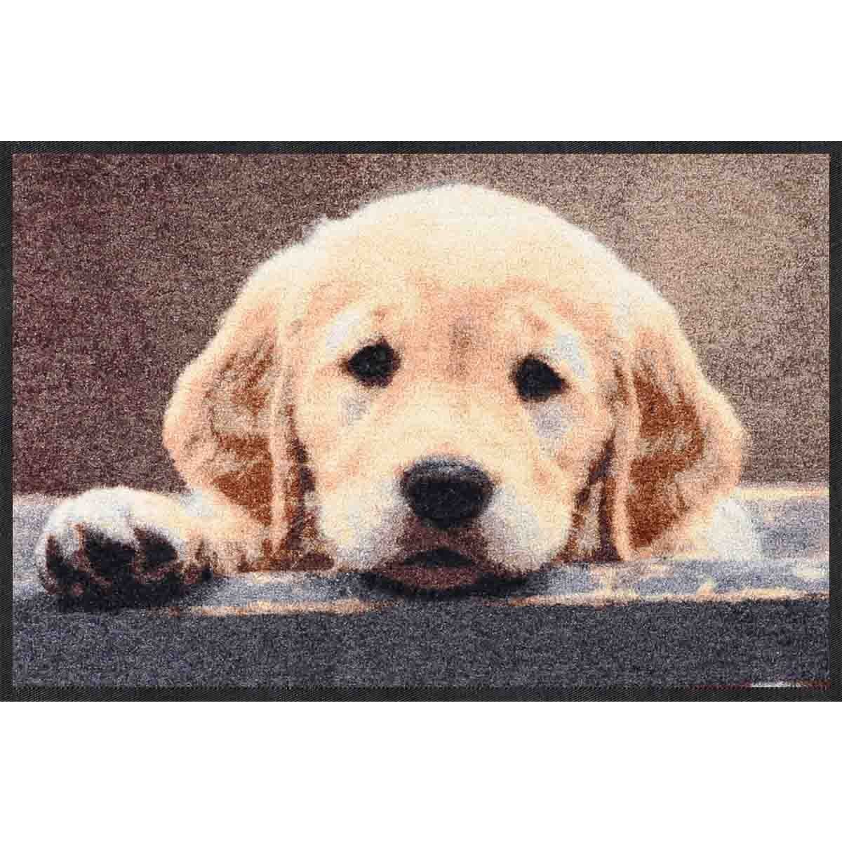 Fußmatte Salonloewe Nosy Dog Fußmatte 50 x 75 cm Schmutzfangmatte waschbar, Salonloewe, Rechteckig, Höhe: 7 mm