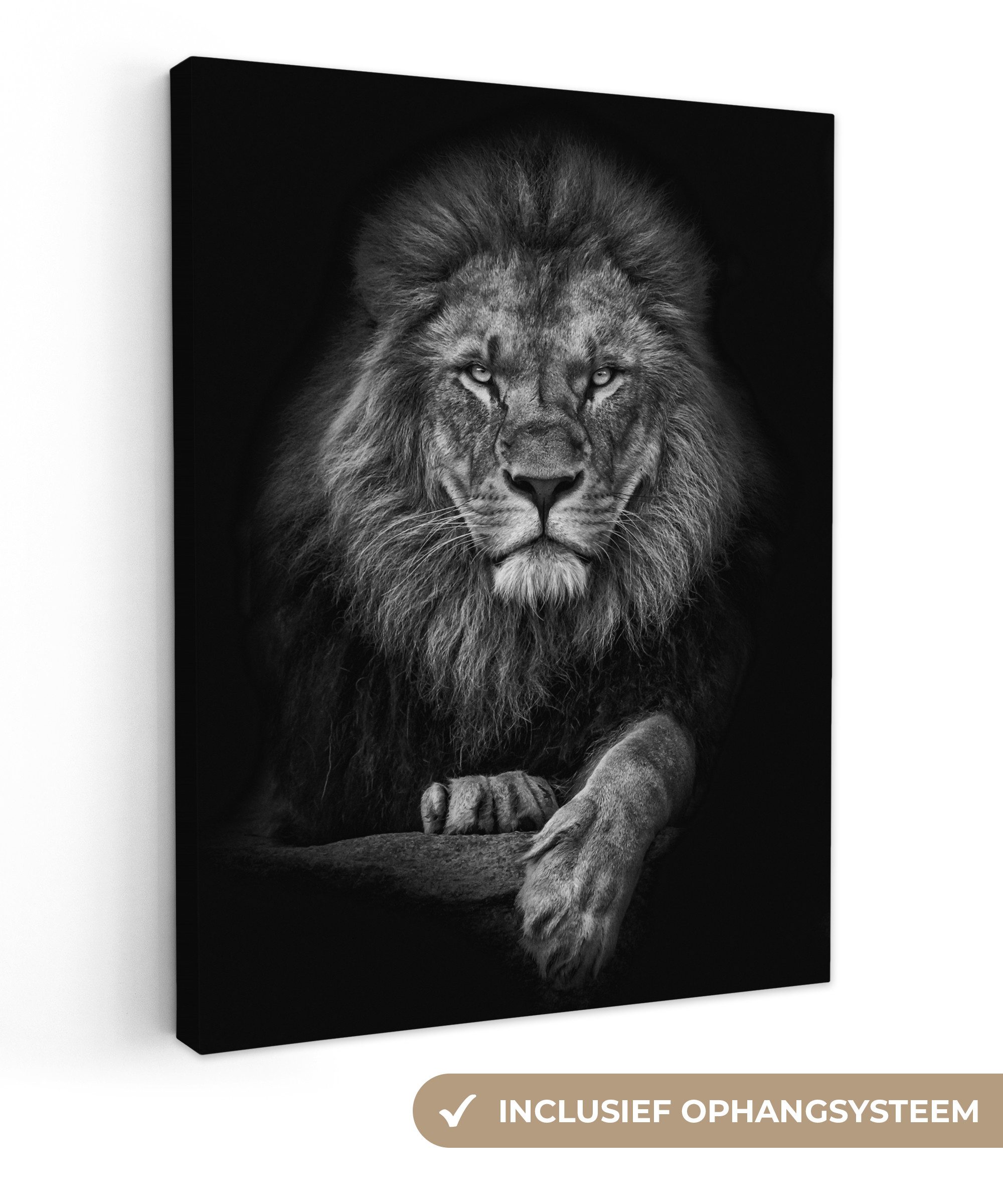 OneMillionCanvasses® Leinwandbild Löwe - Tiere - Schwarz - Weiß, Fotodruck (1 St), Leinwand Bilder für Wohnzimmer Schlafzimmer 30x40 cm