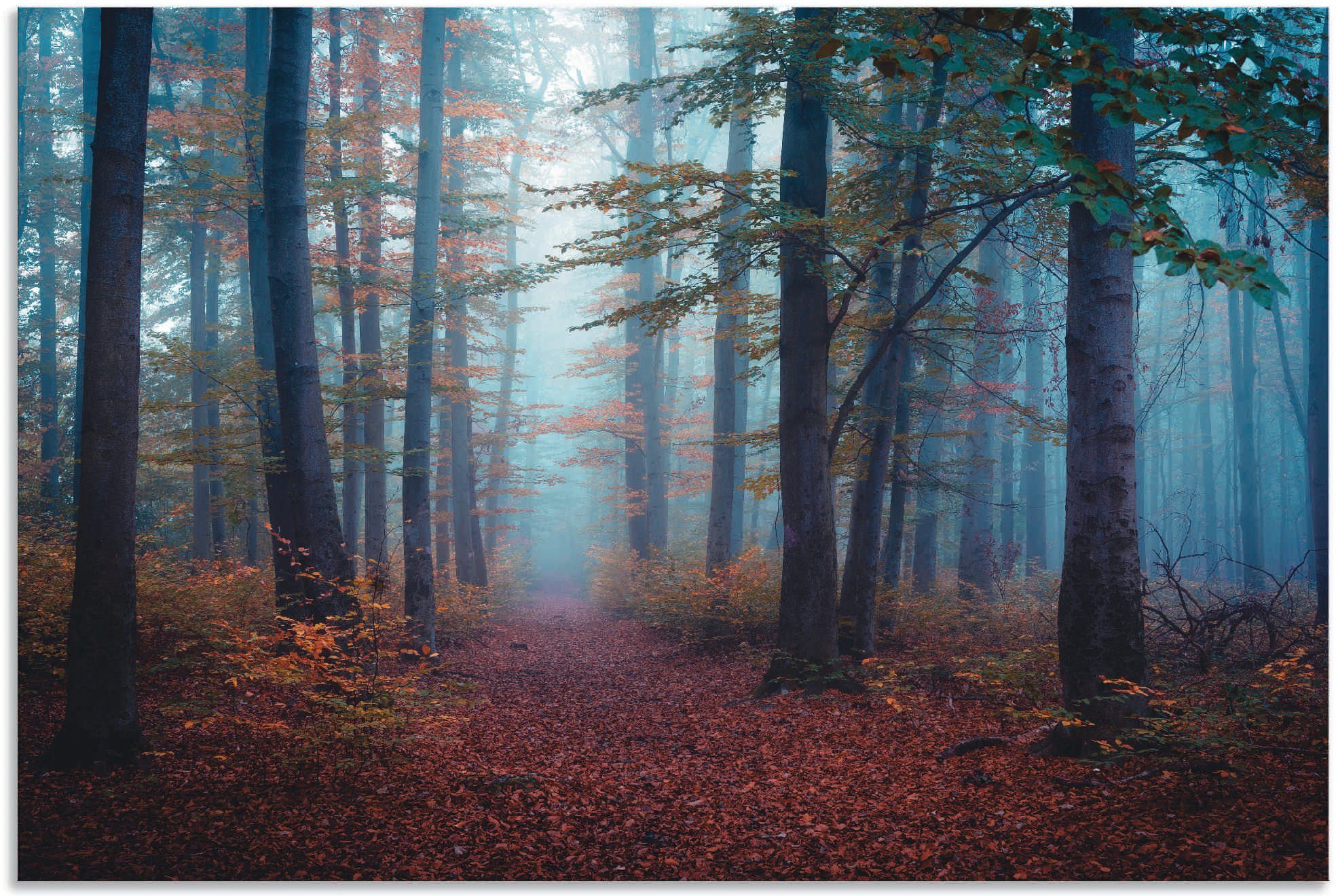Artland Wandbild Wald im Nebel, Waldbilder (1 St), als Alubild, Outdoorbild  in verschied. Größen
