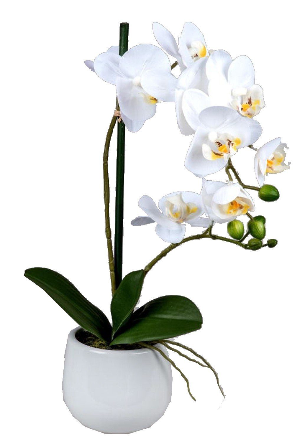 Kunstblume Wunderschöne Orchidee im Porzellantopf, weiß, 48 Kunstpflanze, formano, Höhe 60 cm