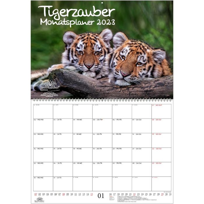 Seelenzauber Wandkalender Tigerzauber Planer DIN A2 aufgeklappt - Kalender für 2023 Tiger -