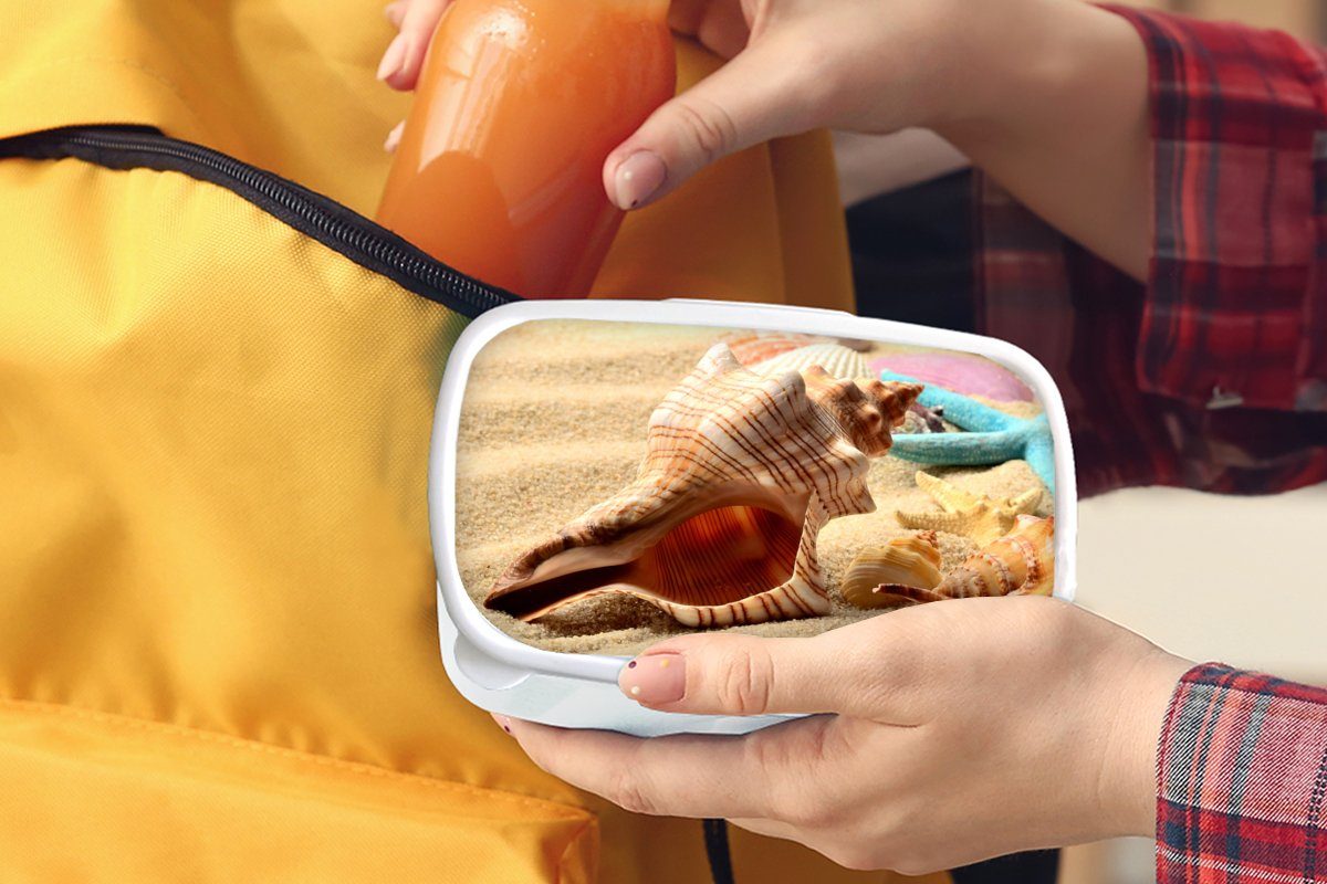 Erwachsene, Brotbox Muscheln (2-tlg), Seesterne Kinder - und für Brotdose, Strand, Lunchbox für Kunststoff, - - Mädchen Sand und weiß MuchoWow Jungs