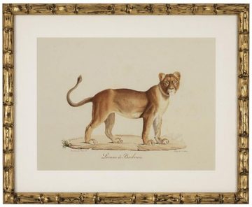 Casa Padrino Bilderrahmen Deko Bilder Set Löwen Tiger Jaguare Antik Gold 54 x H. 44 cm - Luxus Wanddekoration