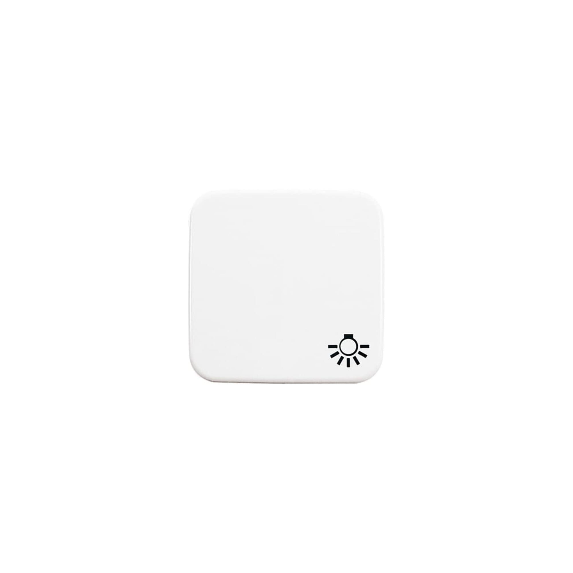 Busch-Jaeger Busch-Jaeger Wippe aws mit Symbol Licht 2520 LI-214 Installationskabel