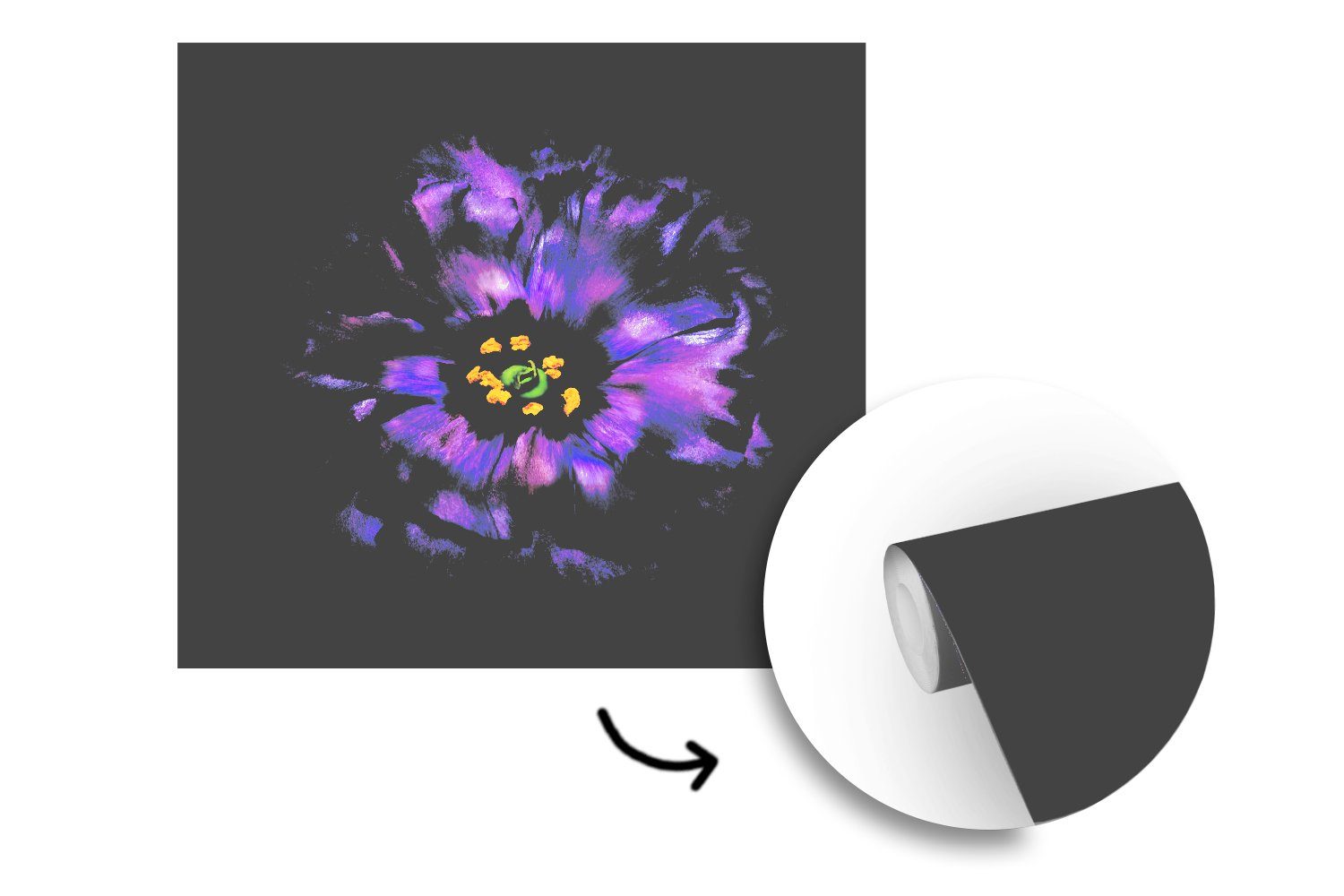 Wandtapete Blume Eine Hintergrund oder Vinyl violette bedruckt, MuchoWow Tapete vor schwarzem abgebildet, Matt, Wohnzimmer St), (5 Schlafzimmer, Fototapete für