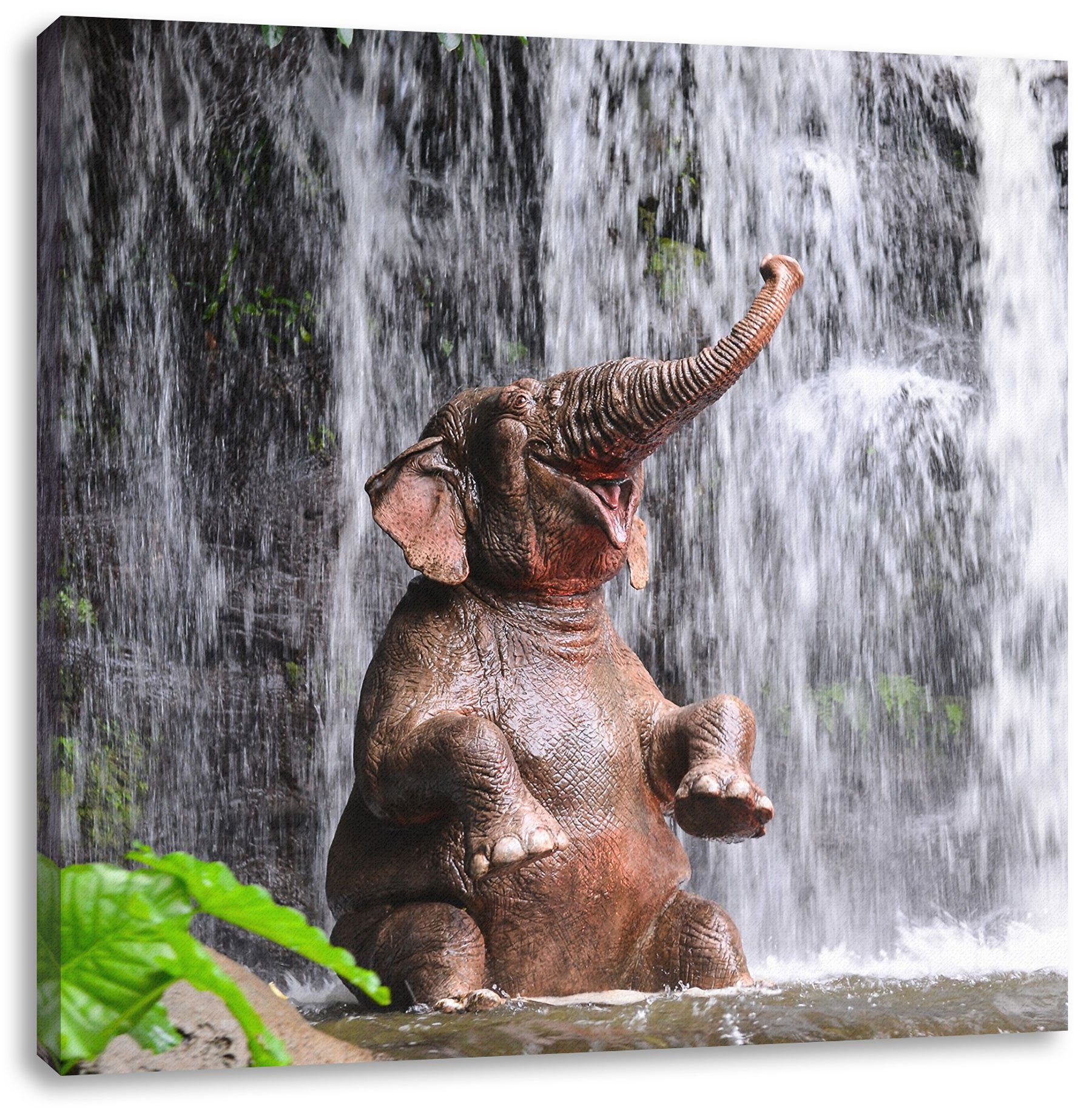 St), Zackenaufhänger Babyelefant (1 bespannt, Wasserfall, Leinwandbild Pixxprint am fertig Babyelefant Leinwandbild Wasserfall inkl. am