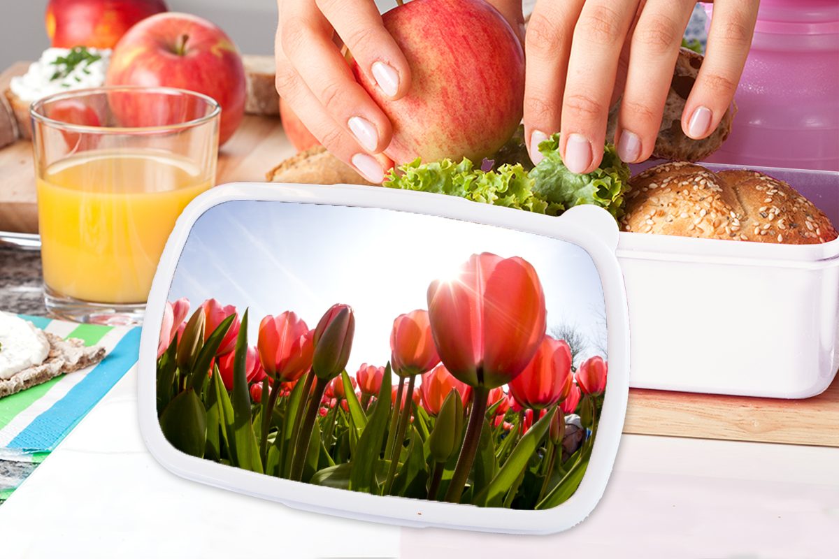 Erwachsene, Lunchbox (2-tlg), für für voller Tulpen, Kinder und Kunststoff, Jungs Brotbox Mädchen Feld weiß roter Brotdose, und Ein MuchoWow