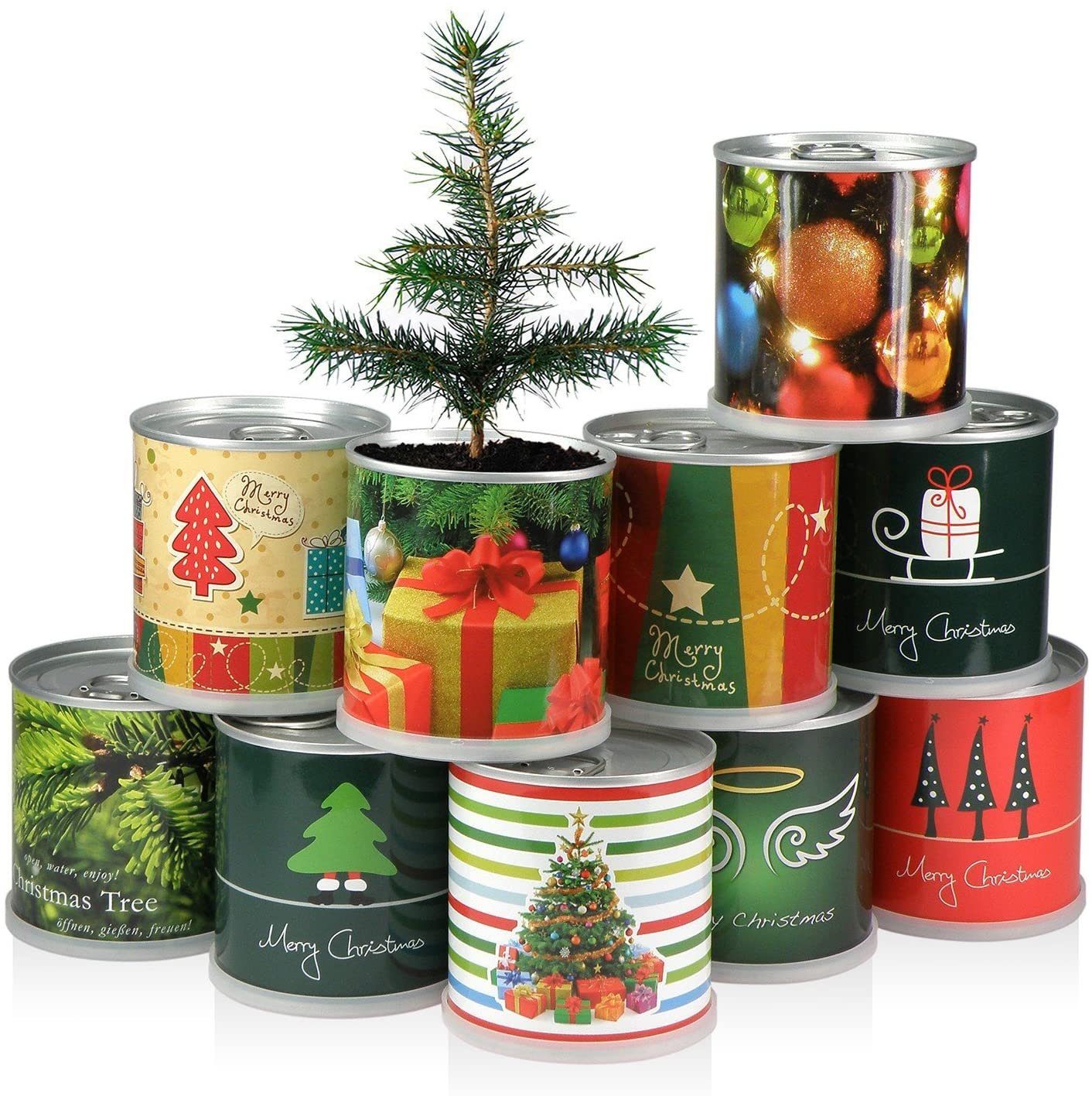 MacFlowers® Anzuchttopf Weihnachtsbaum Set (2 2er in Tanne Schlitten Dose der St) Merry - Christmas 